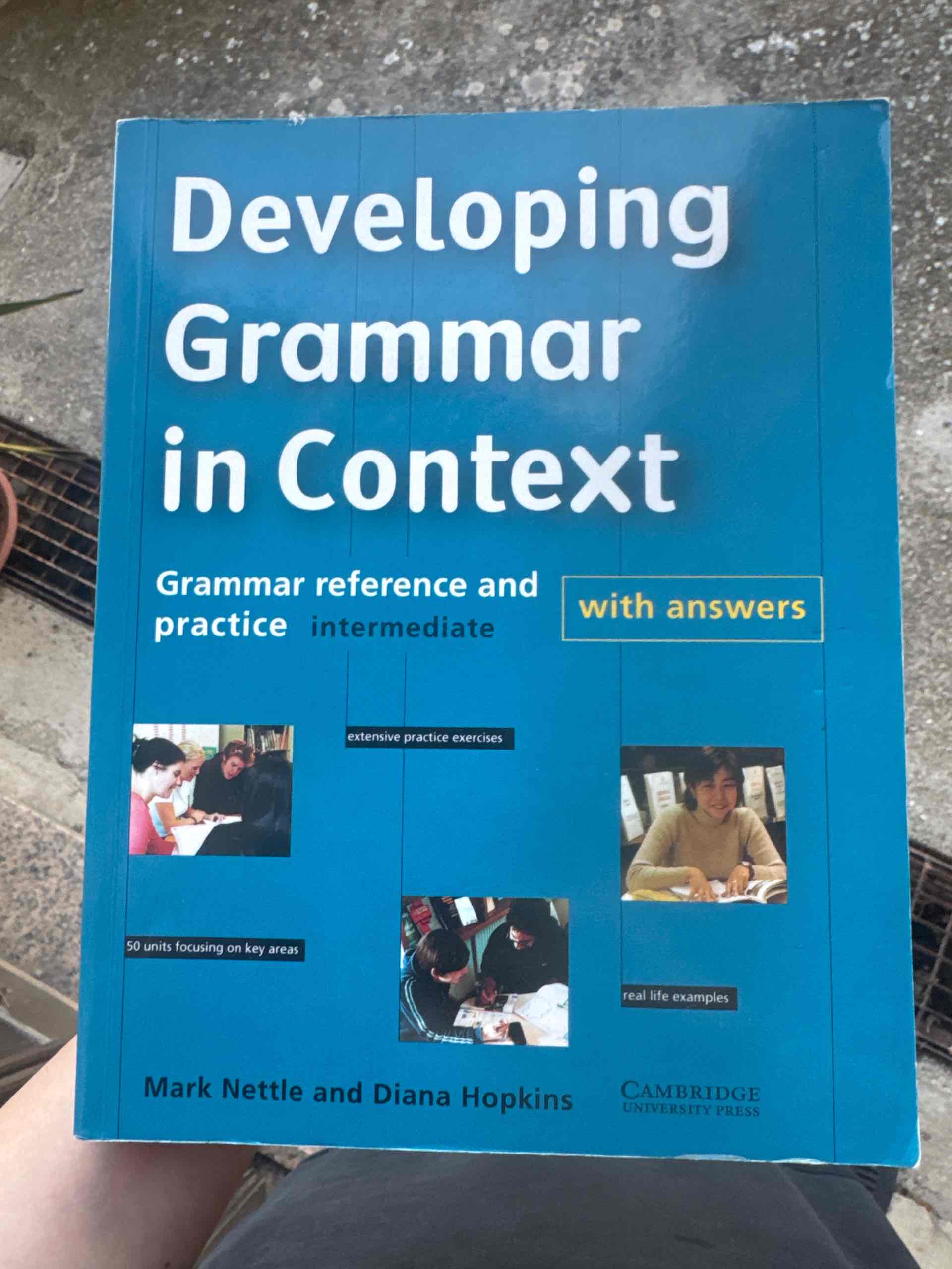 developing grammar in context libro usato