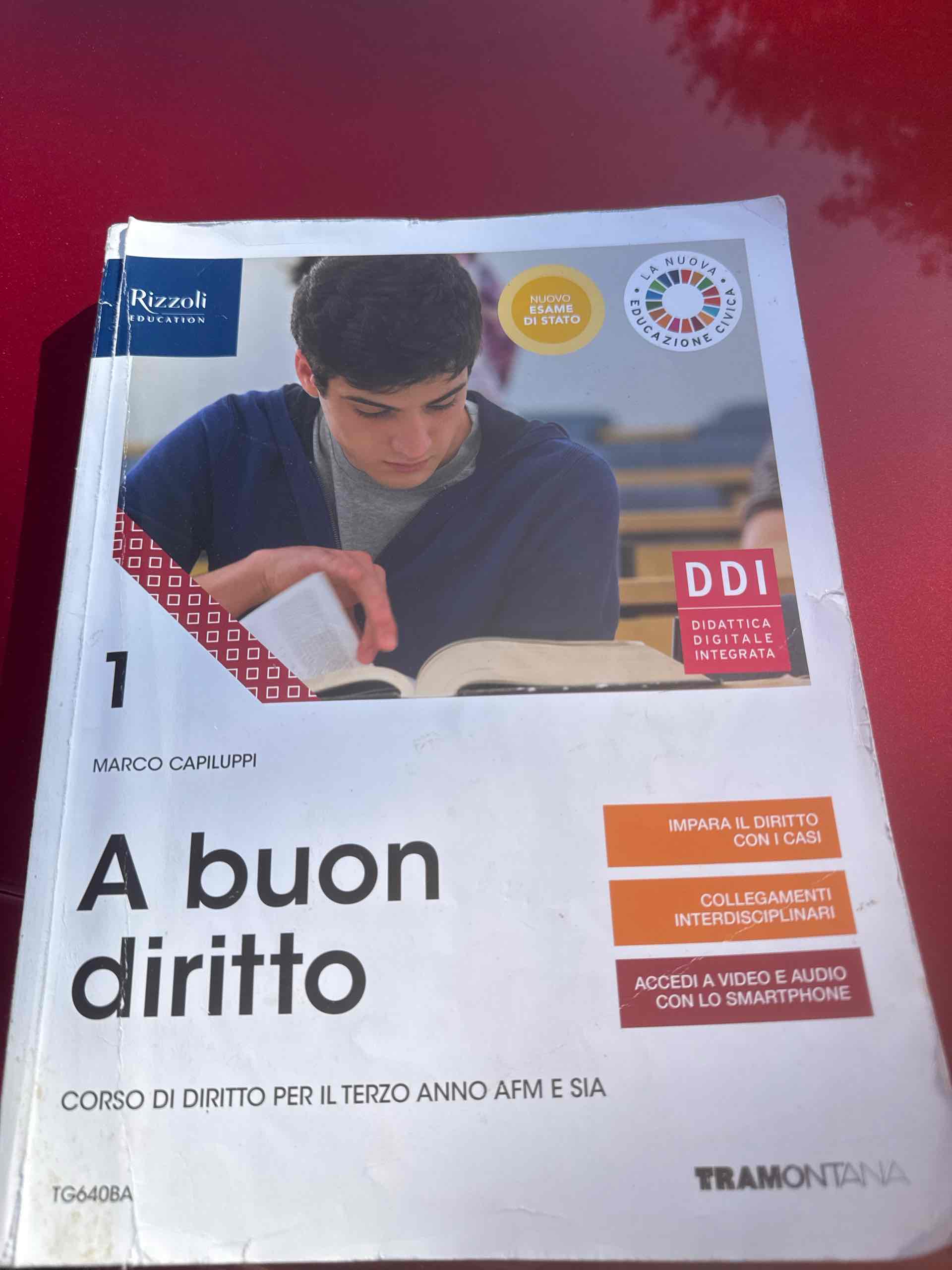 a buon diritto libro usato