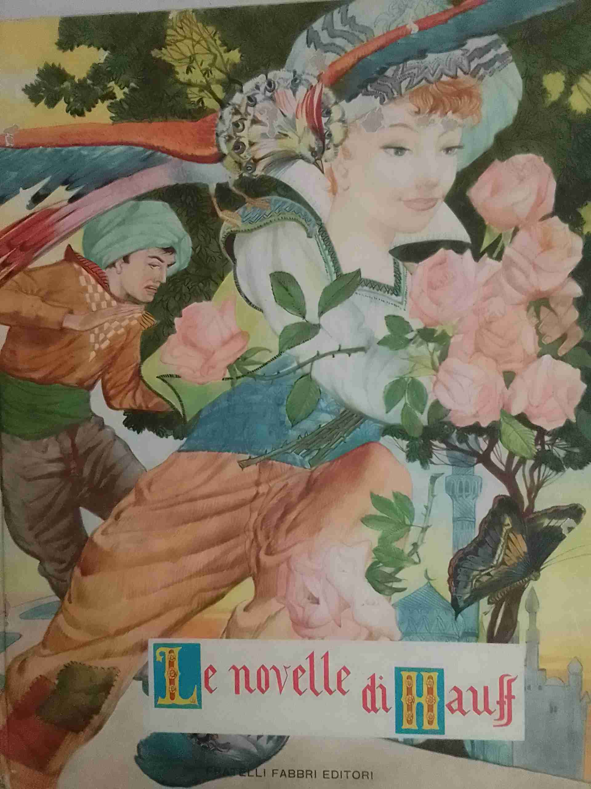 Le novelle di Hauff libro usato