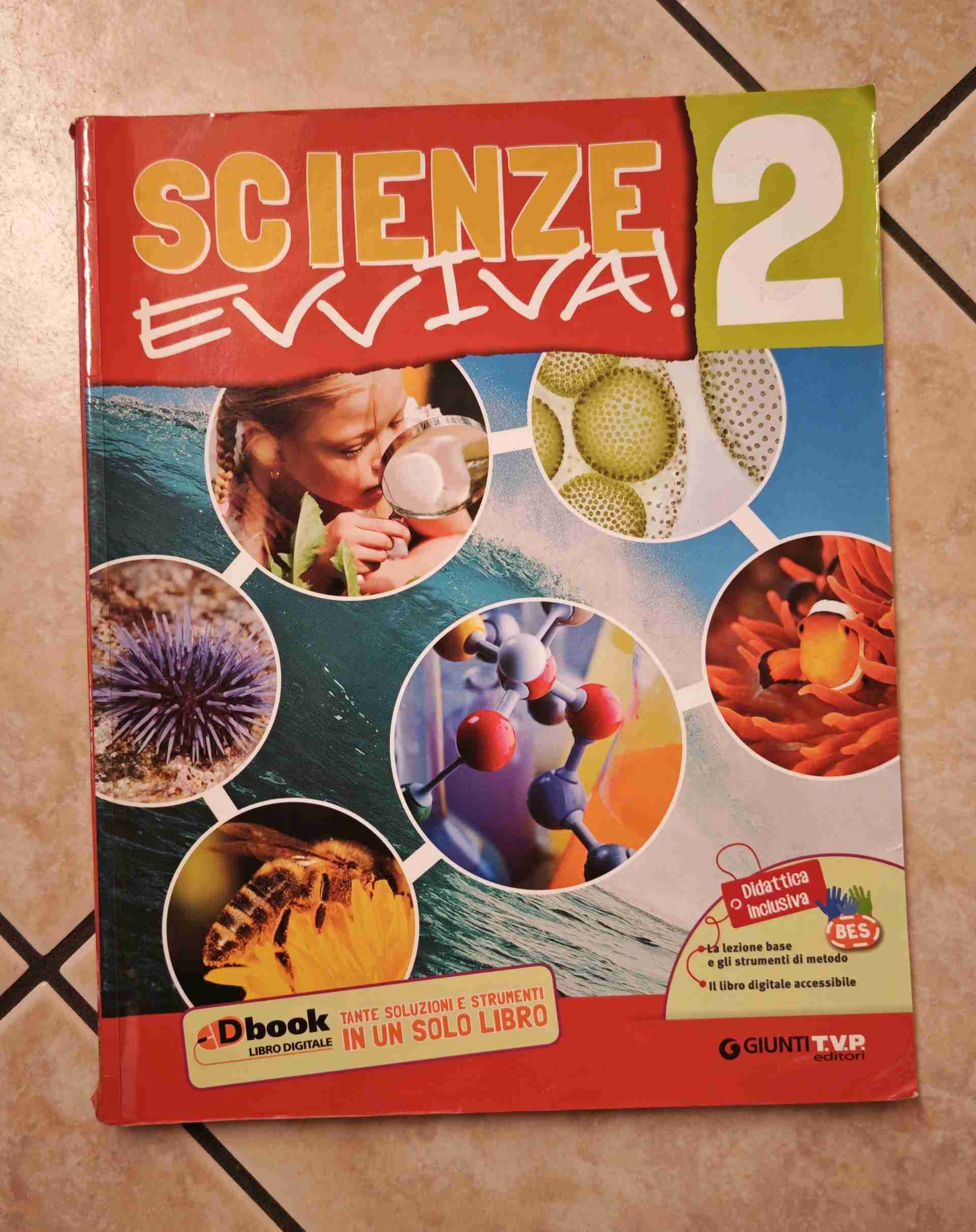 Scienze evviva. Le scienze con metodo. Per la Scuola media. Con e-book. Con espansione online. Vol. 2 libro usato