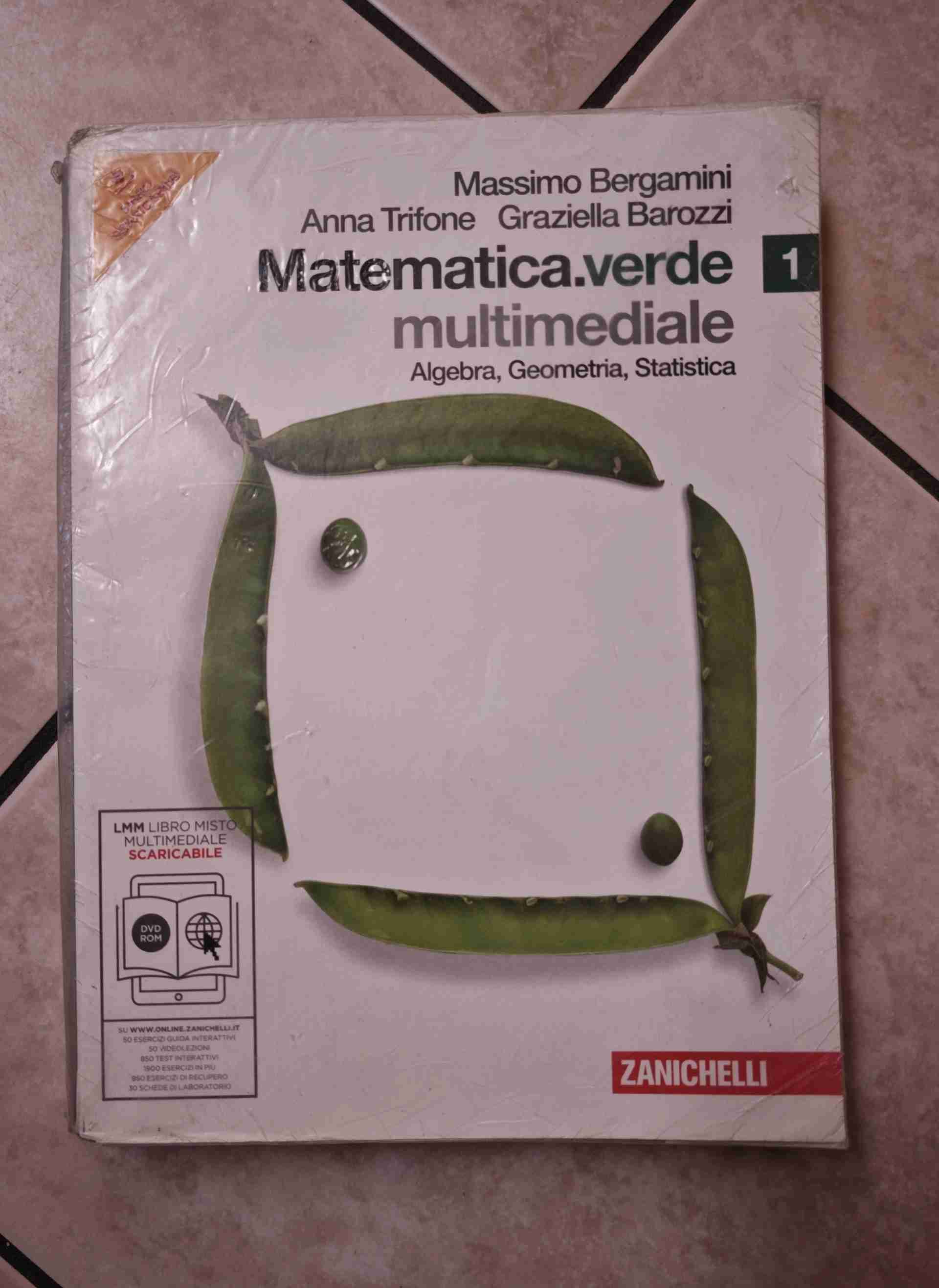 Matematica.verde. Algebra. Geometria. Statistica. Per le Scuole superiori. Con espansione online. Vol. 1 libro usato