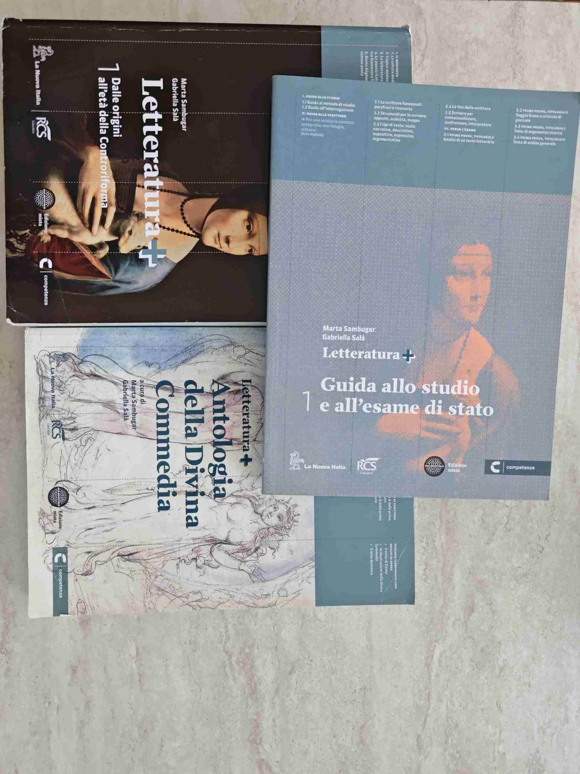 Letteratura +. Con guida esame-Antologia Divina commedia. Per le Scuole superiori. Con espansione online. Vol. 1 libro usato
