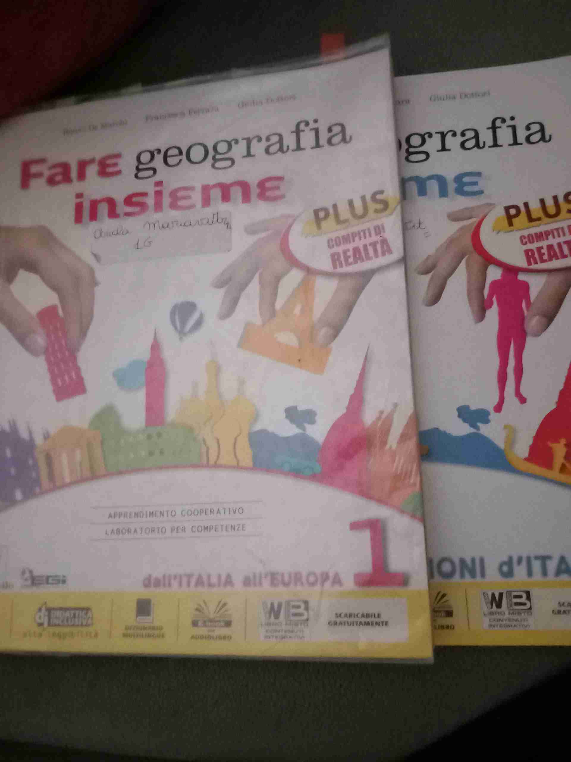 Fare geografia insieme. Plus. Realt-Italia delle regioni. Per la Scuola media. Con e-book. Con espansione online. Vol. 1