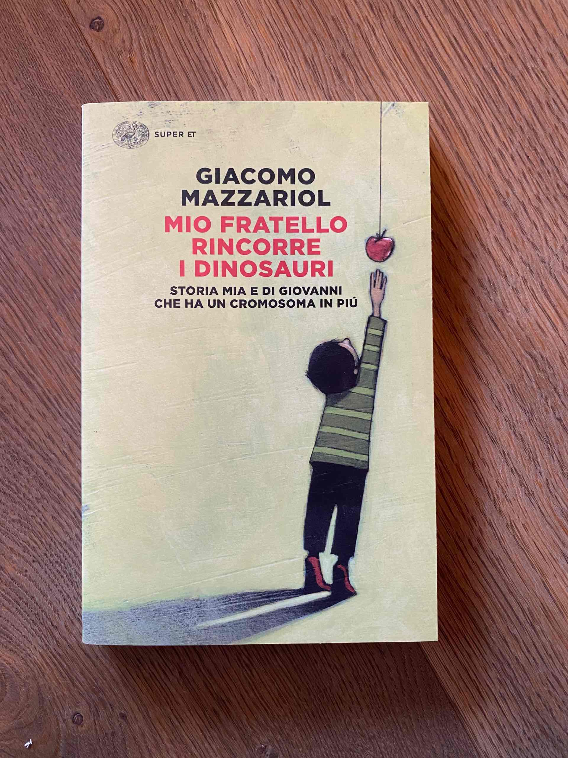 Mio fratello rincorre i dinosauri  libro usato