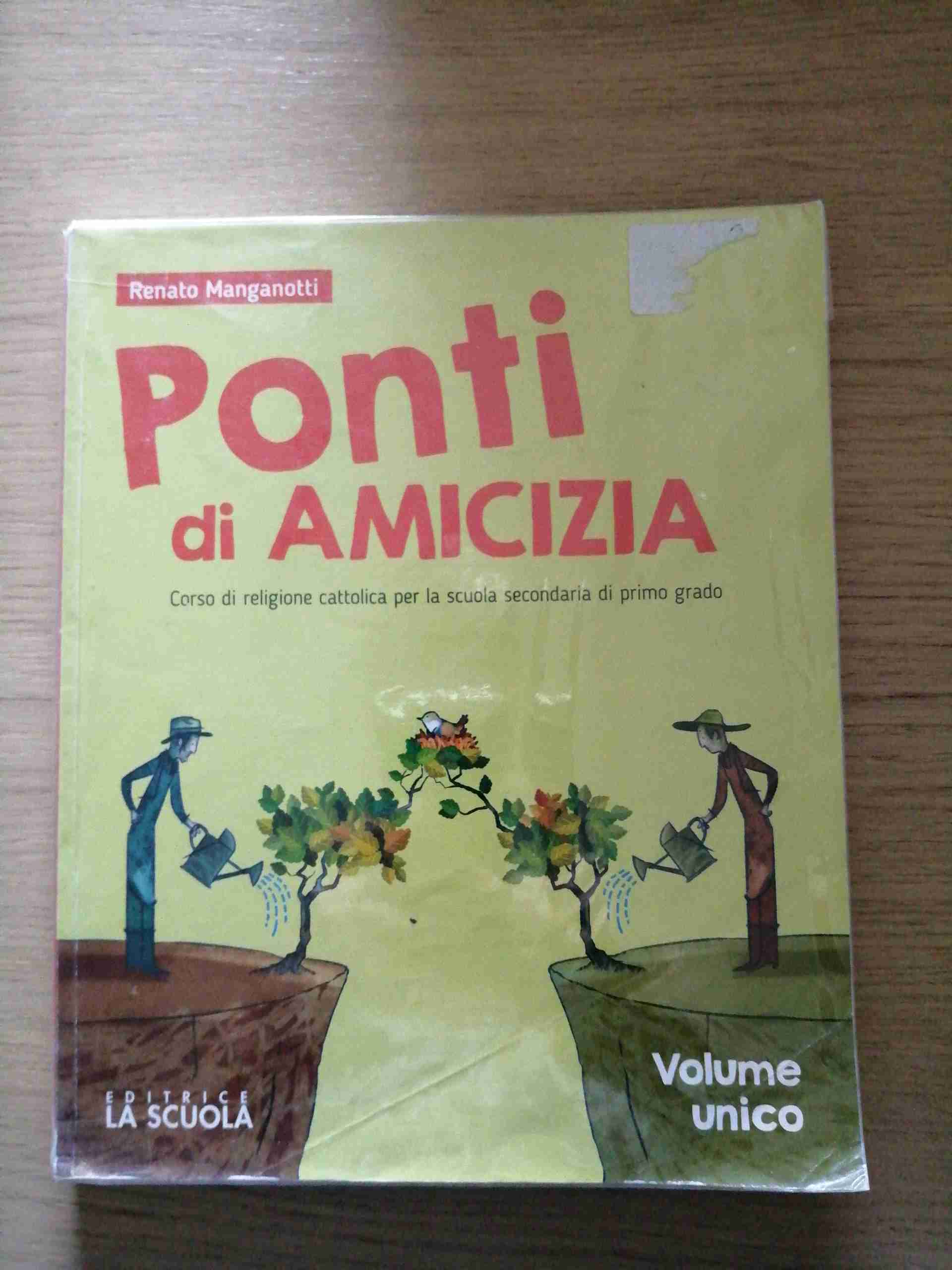 Ponti di amicizia