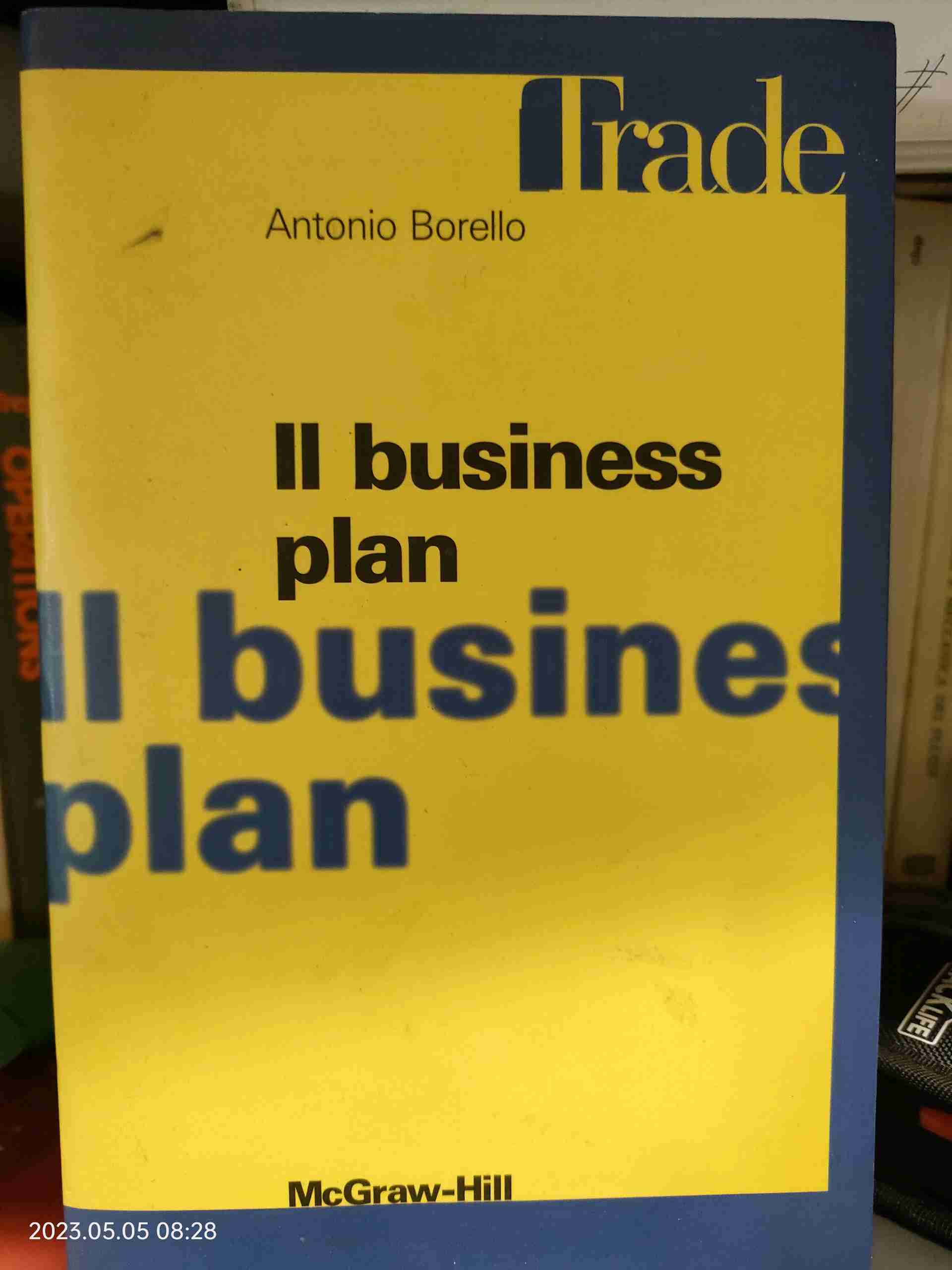 Il business plan