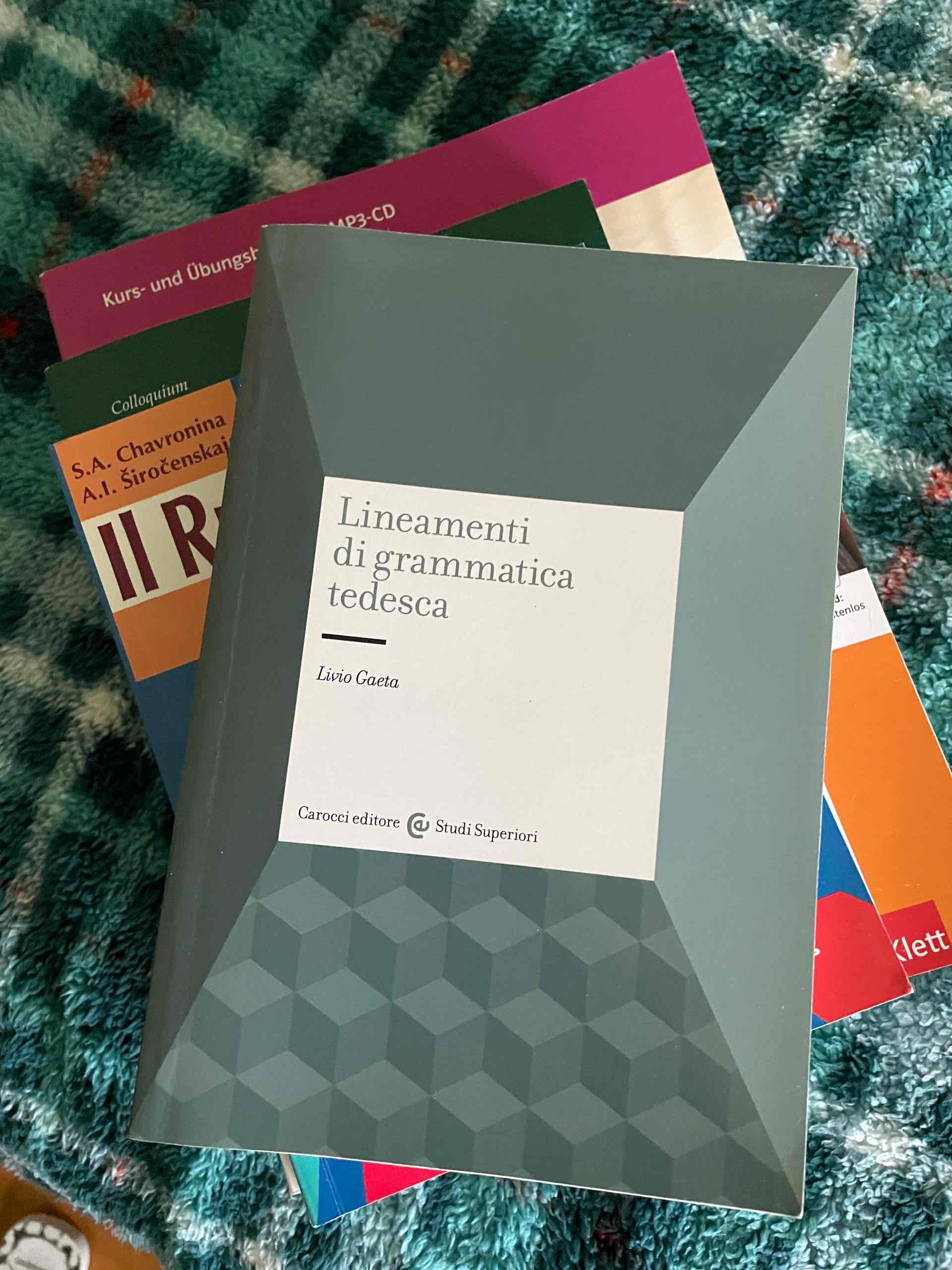 Lineamenti di grammatica tedesca libro usato