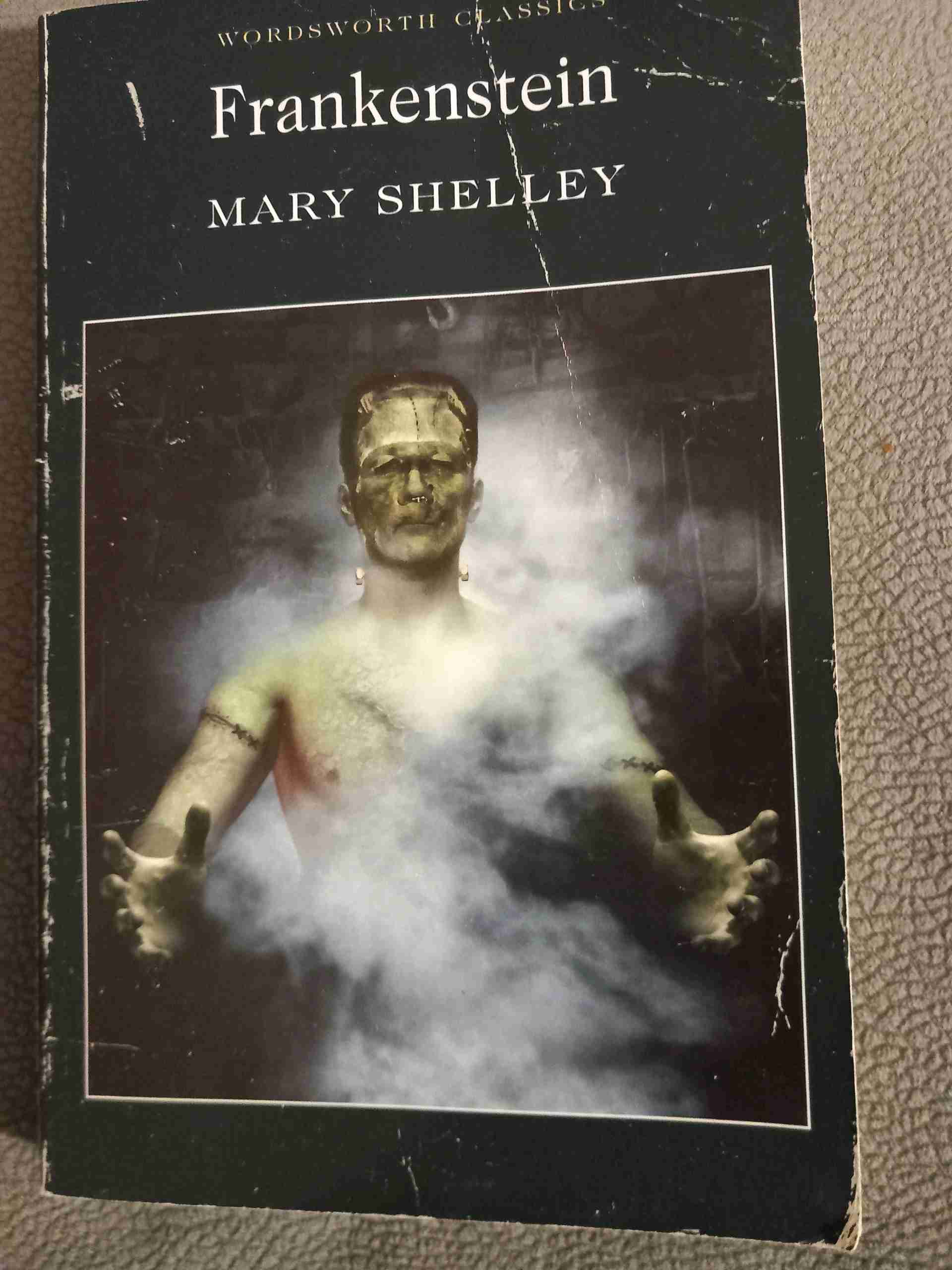 Frankenstein libro usato