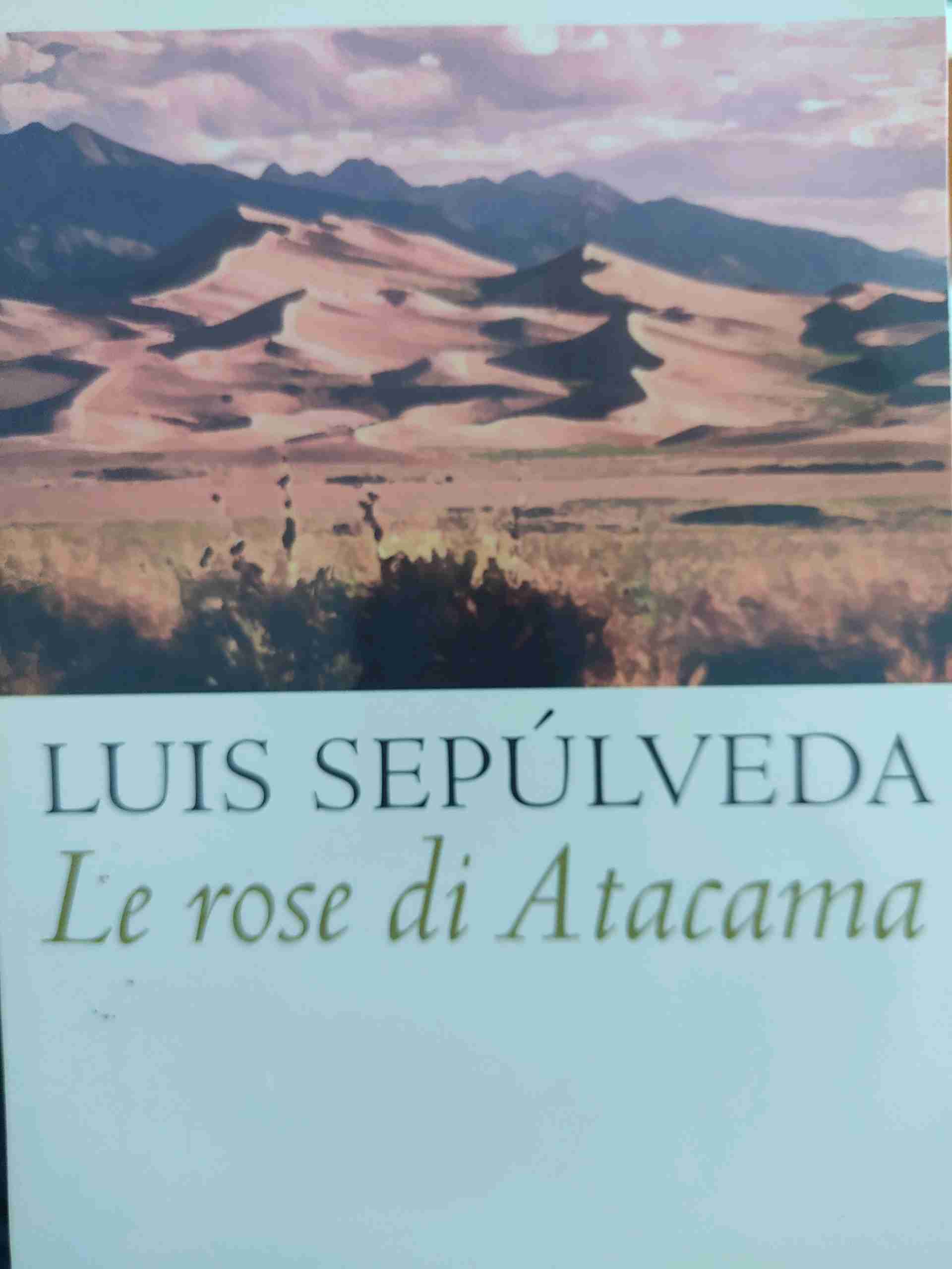 Le rose di Atacama 