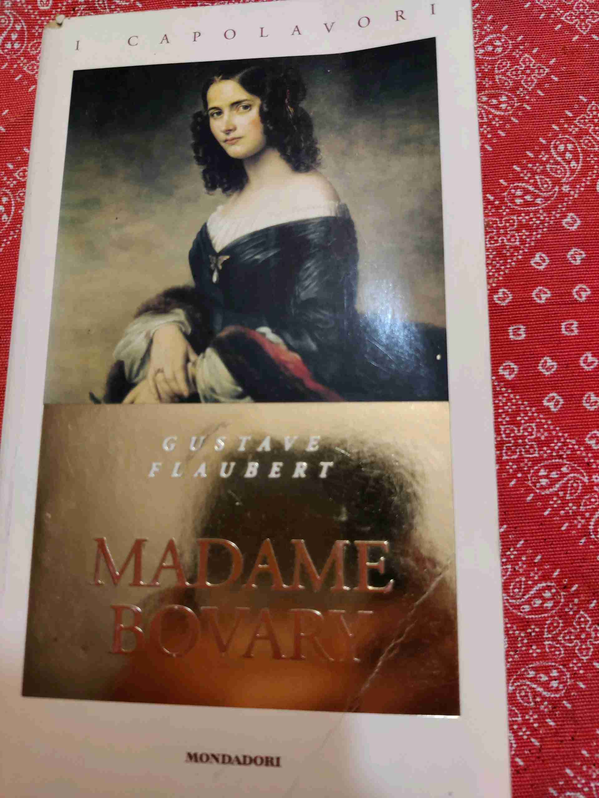 Madame bovary libro usato