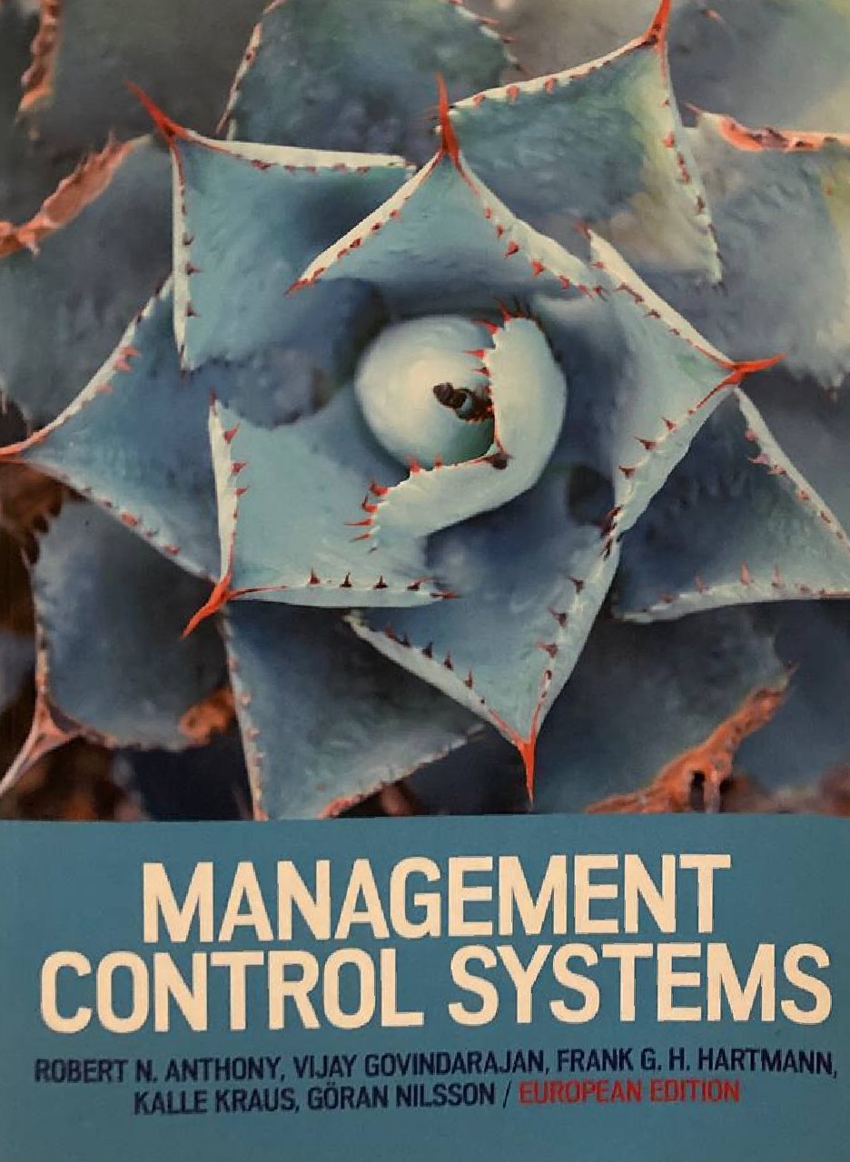 Management control systems (European edition) libro usato