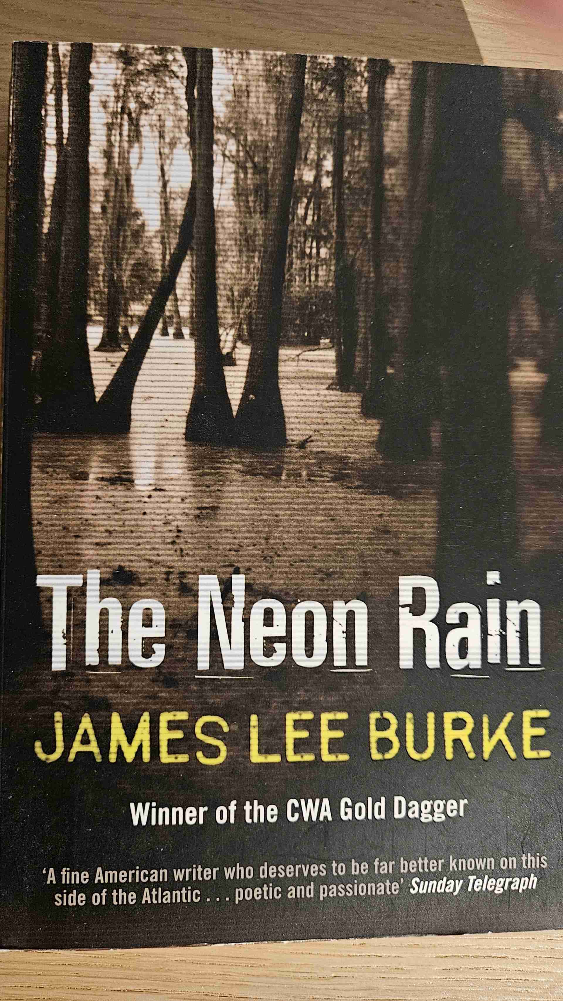 Neon Rain libro usato