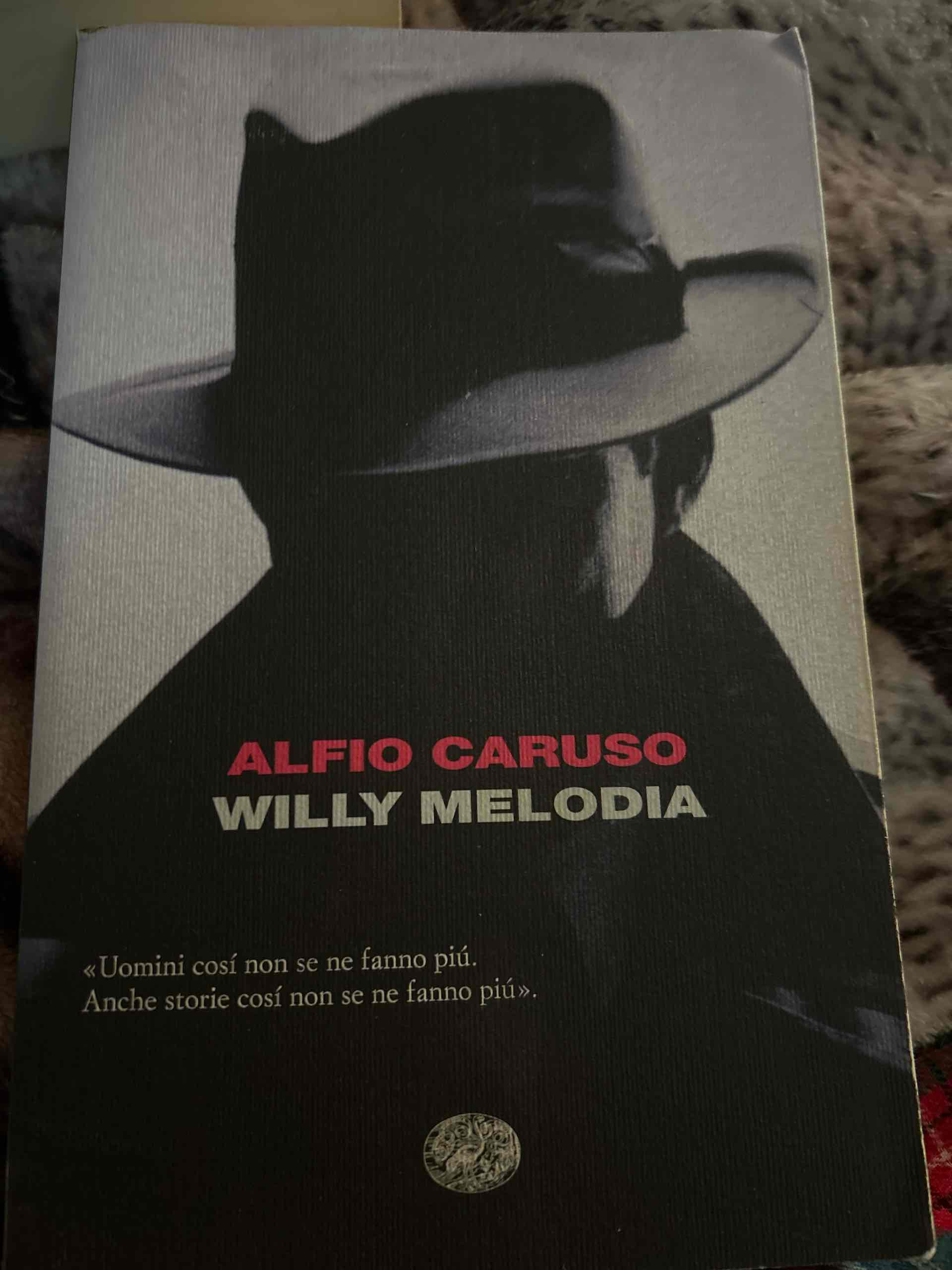 Willy Melodia libro usato