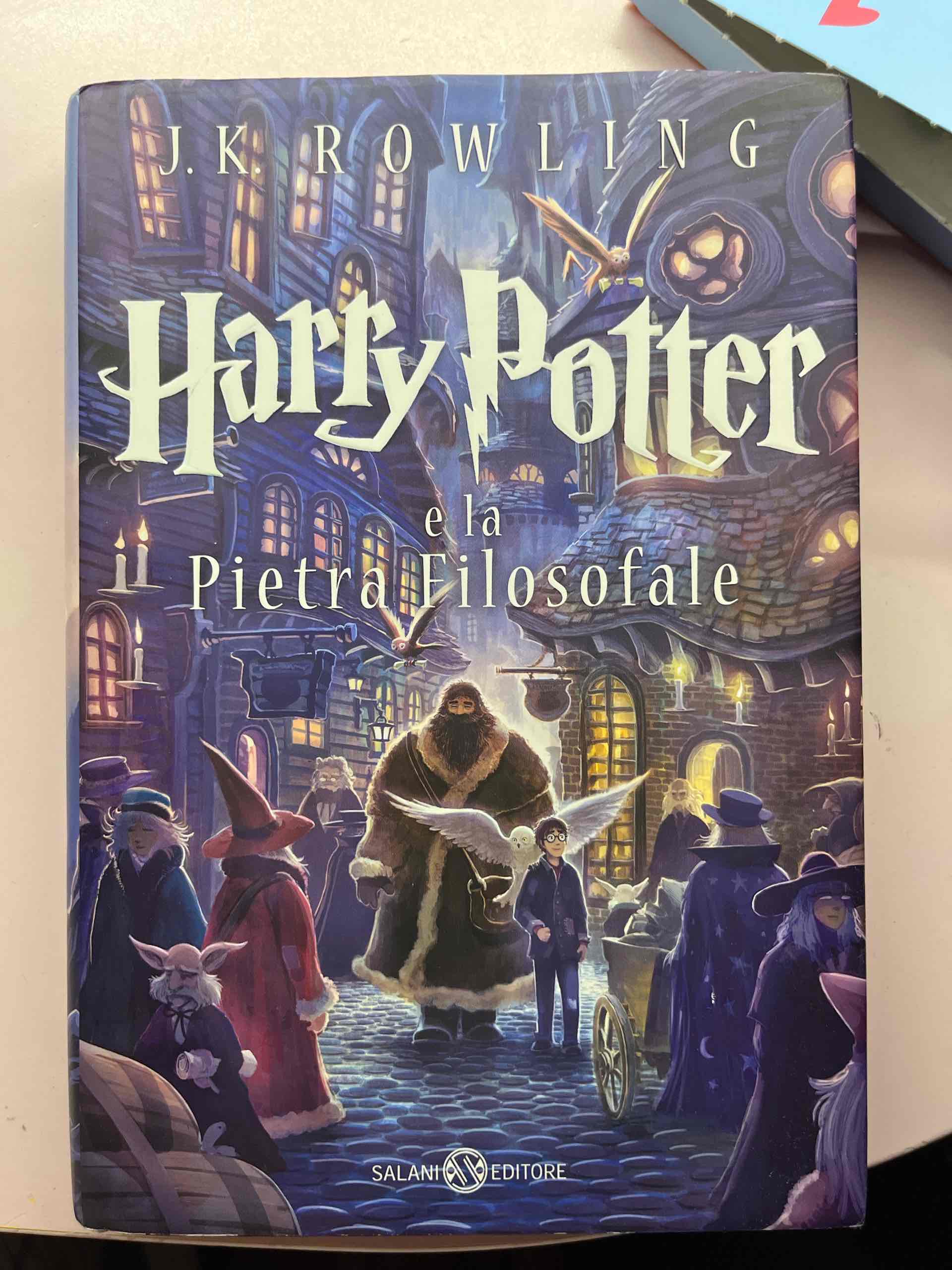 Harry Potter e la pietra filosofale. Vol. 1 libro usato