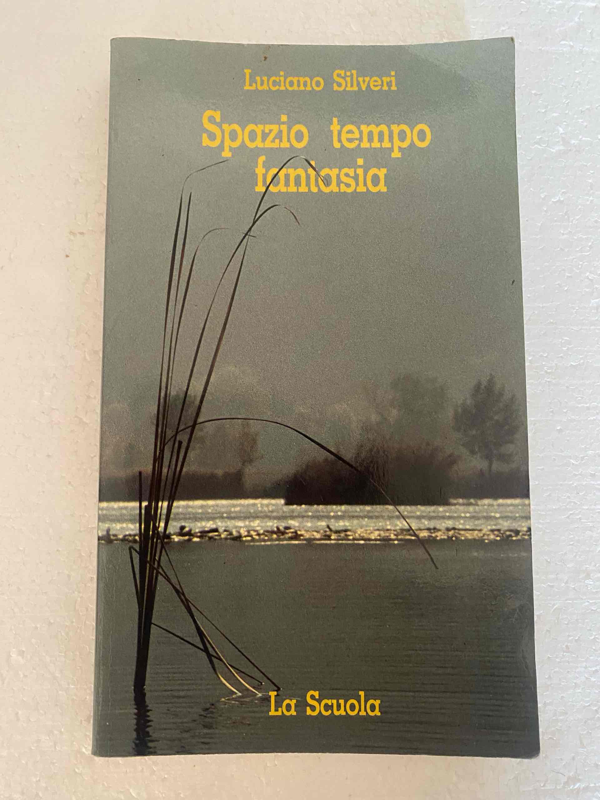 Spazio, tempo, fantasia libro usato