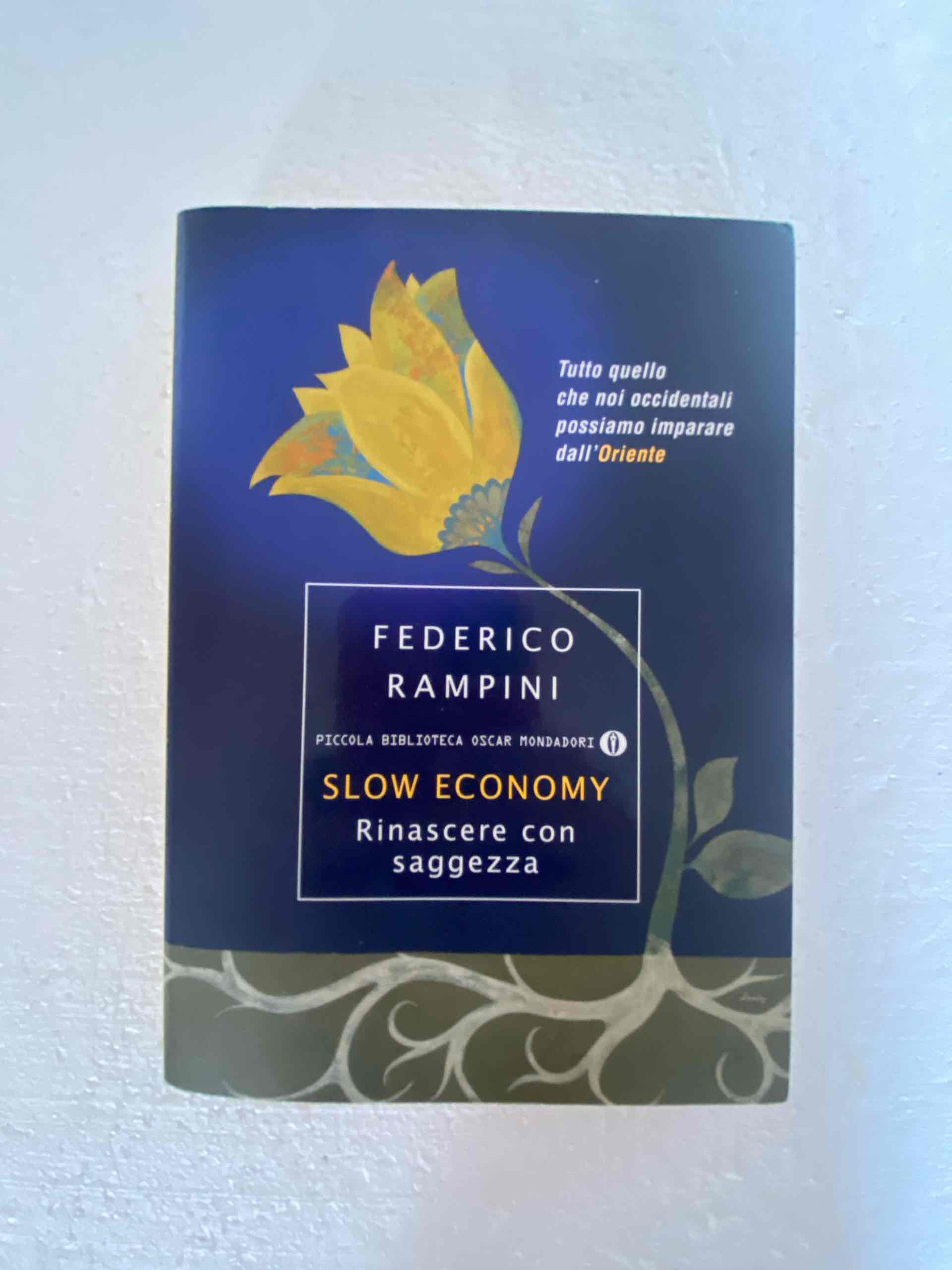 Slow economy. Rinascere con saggezza libro usato