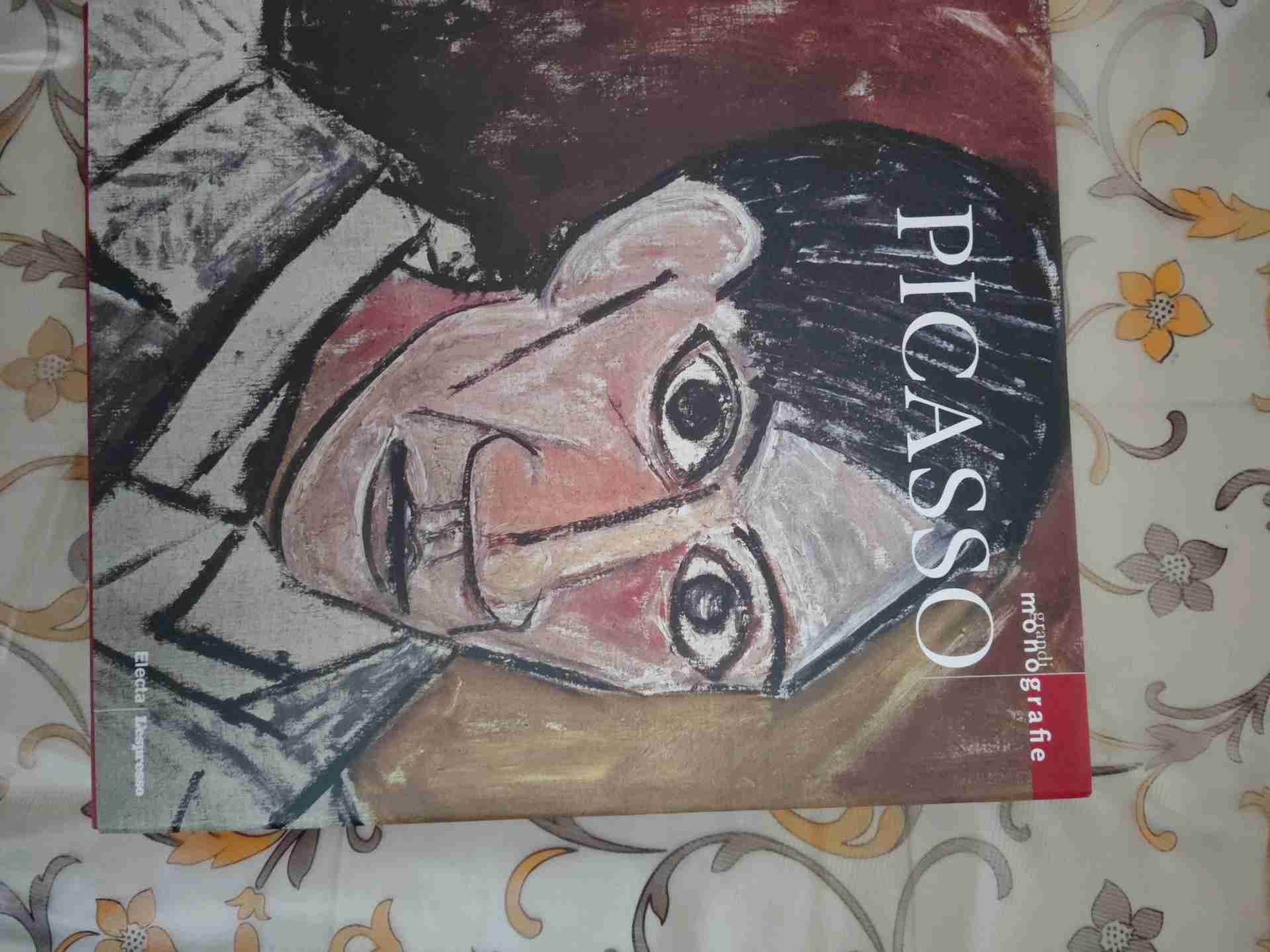Picasso libro usato