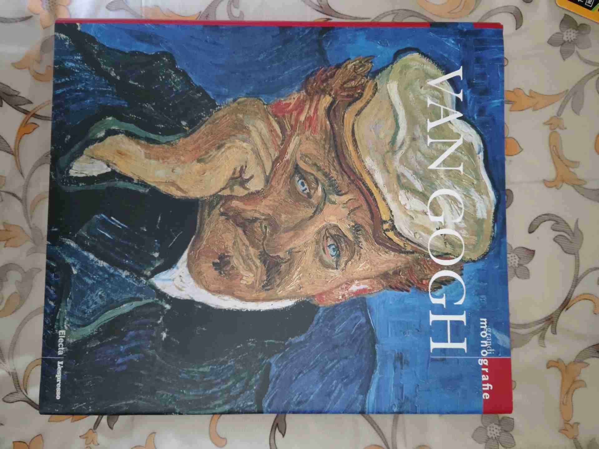 Van Gogh libro usato