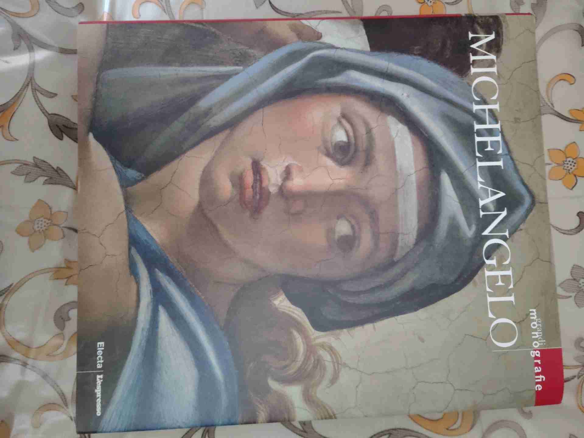 Michelangelo libro usato
