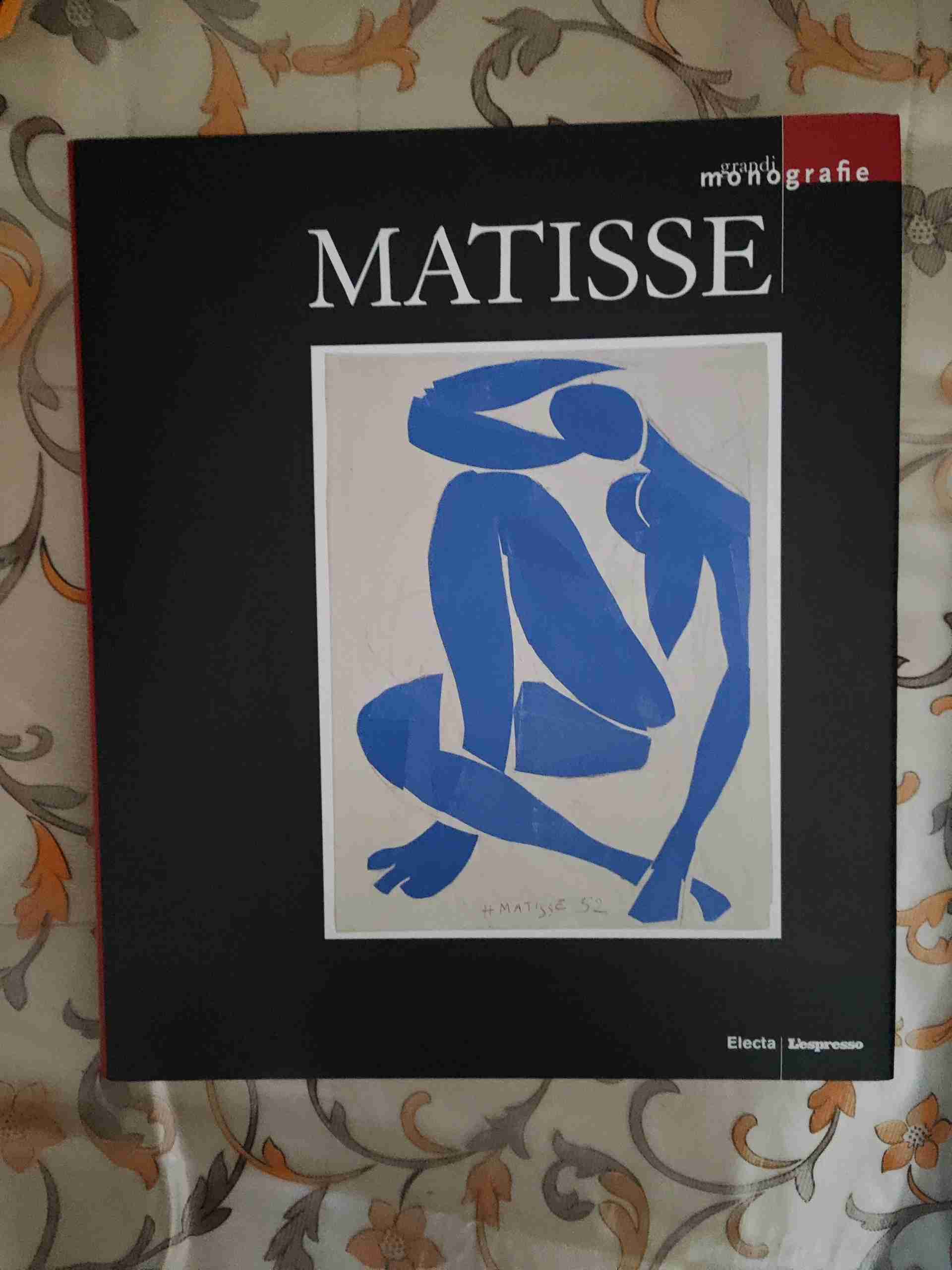 Matisse libro usato