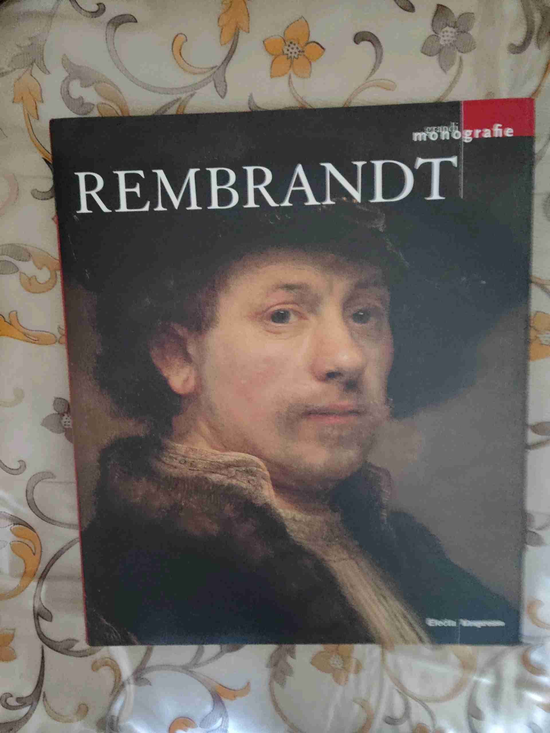 Rembrandt libro usato
