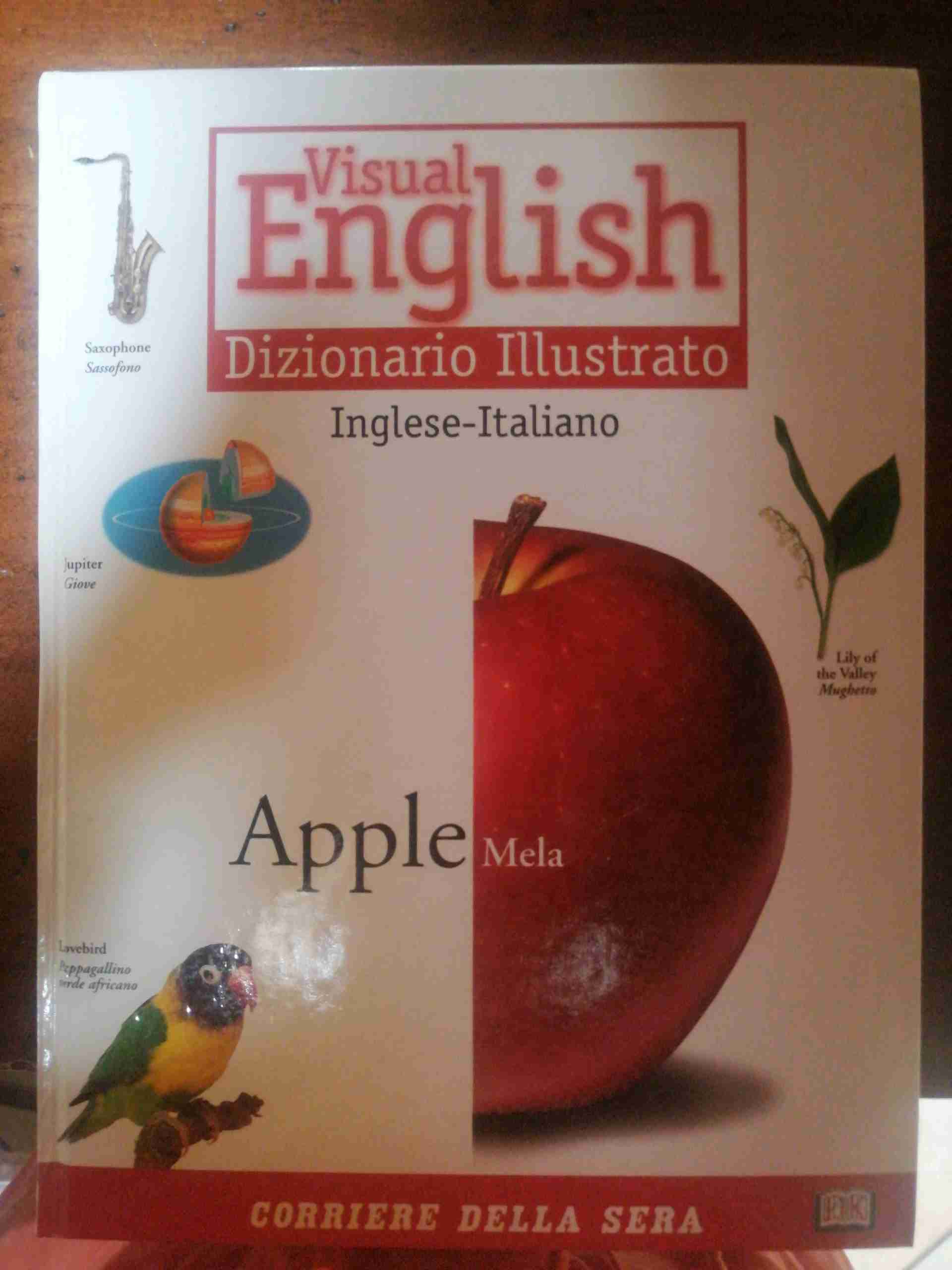 Dizionario Illustrato Inglese-Italiano libro usato