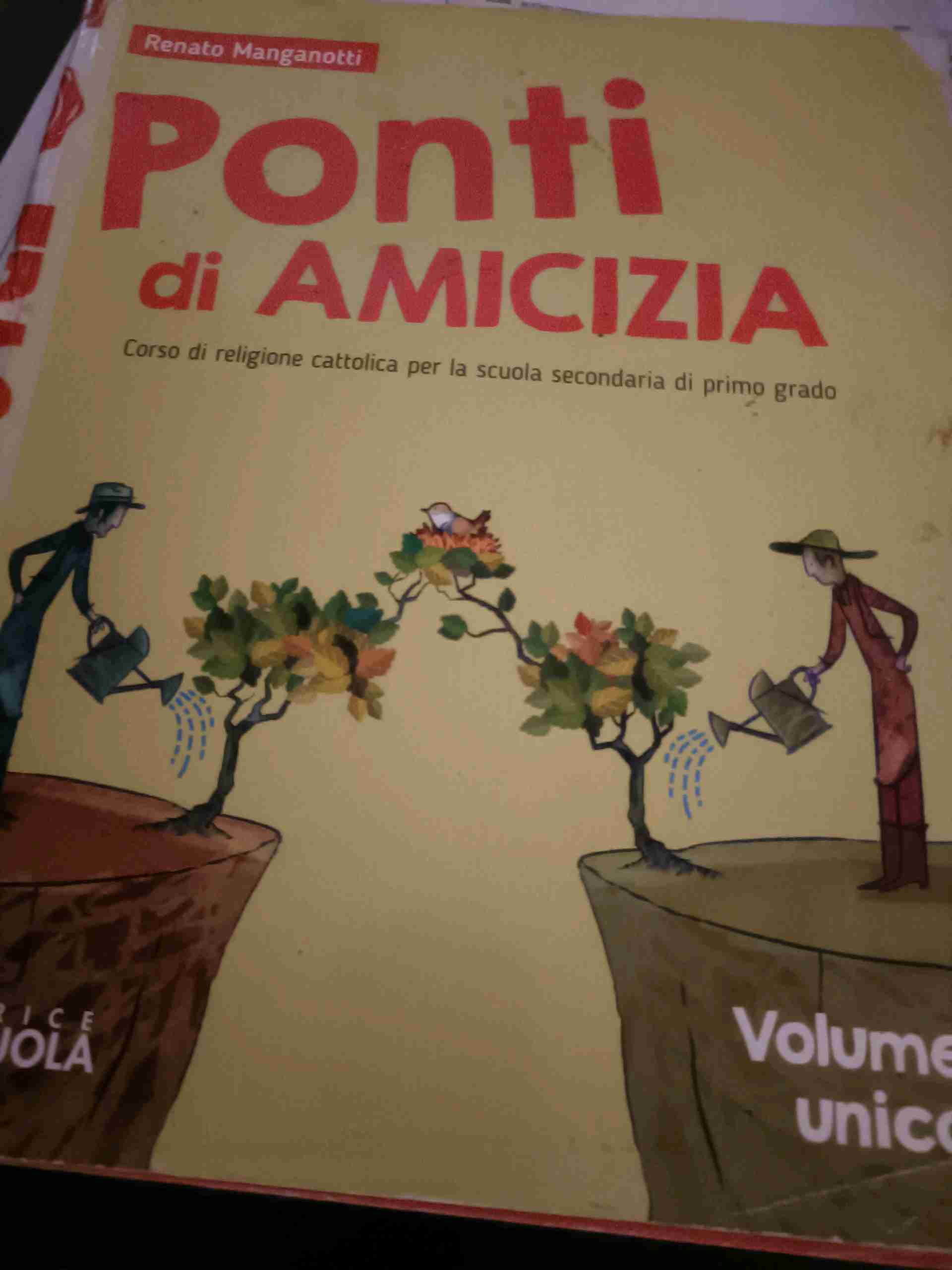 Ponti di amicizia. Corso di religione cattolica. Atlante delle religioni. Vol. unico. Per la Scuola media. Con e-book. Con espansione online. Con DVD-ROM libro usato