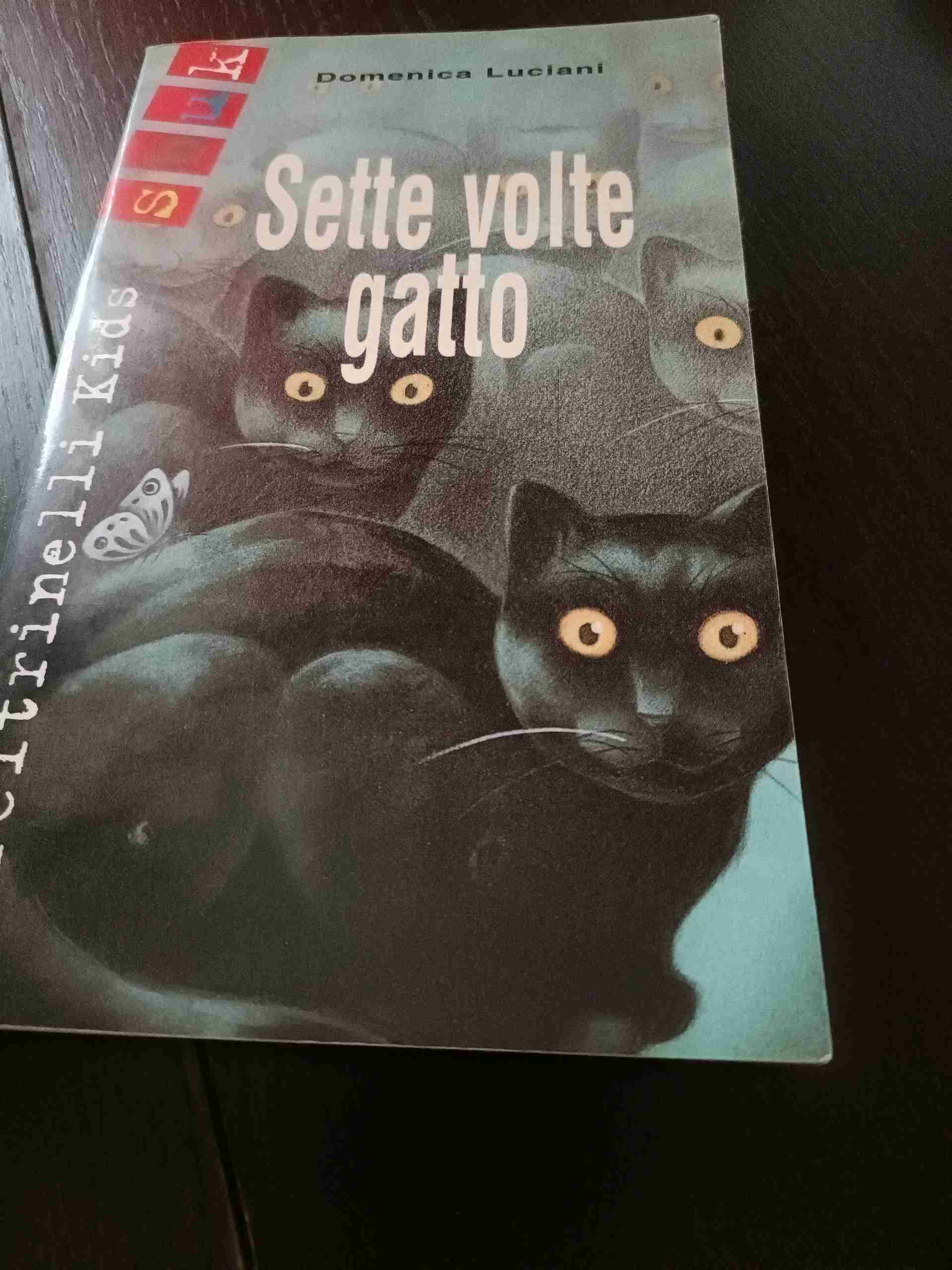 Sette volte gatto libro usato