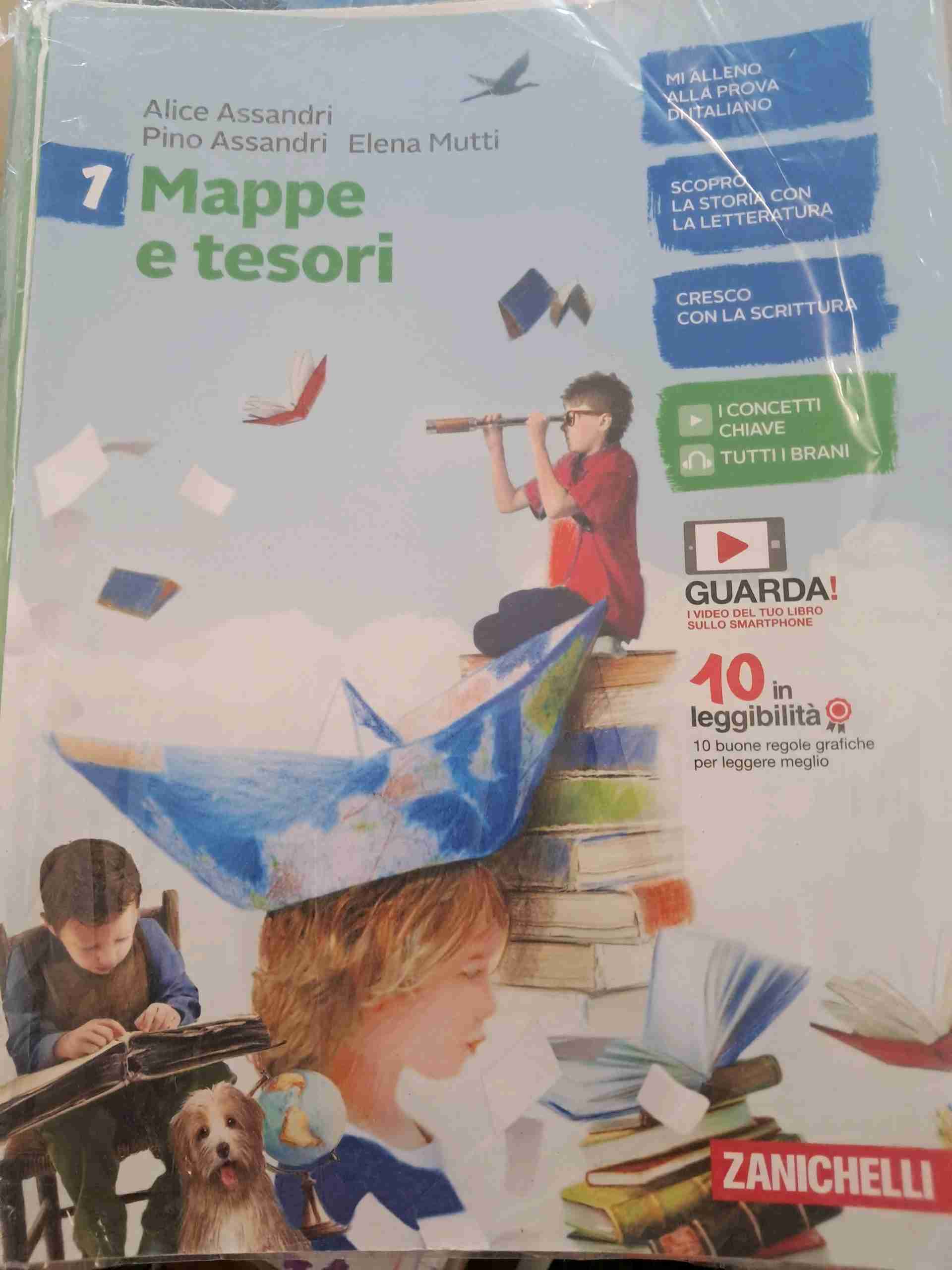 mappe e tesori libro usato