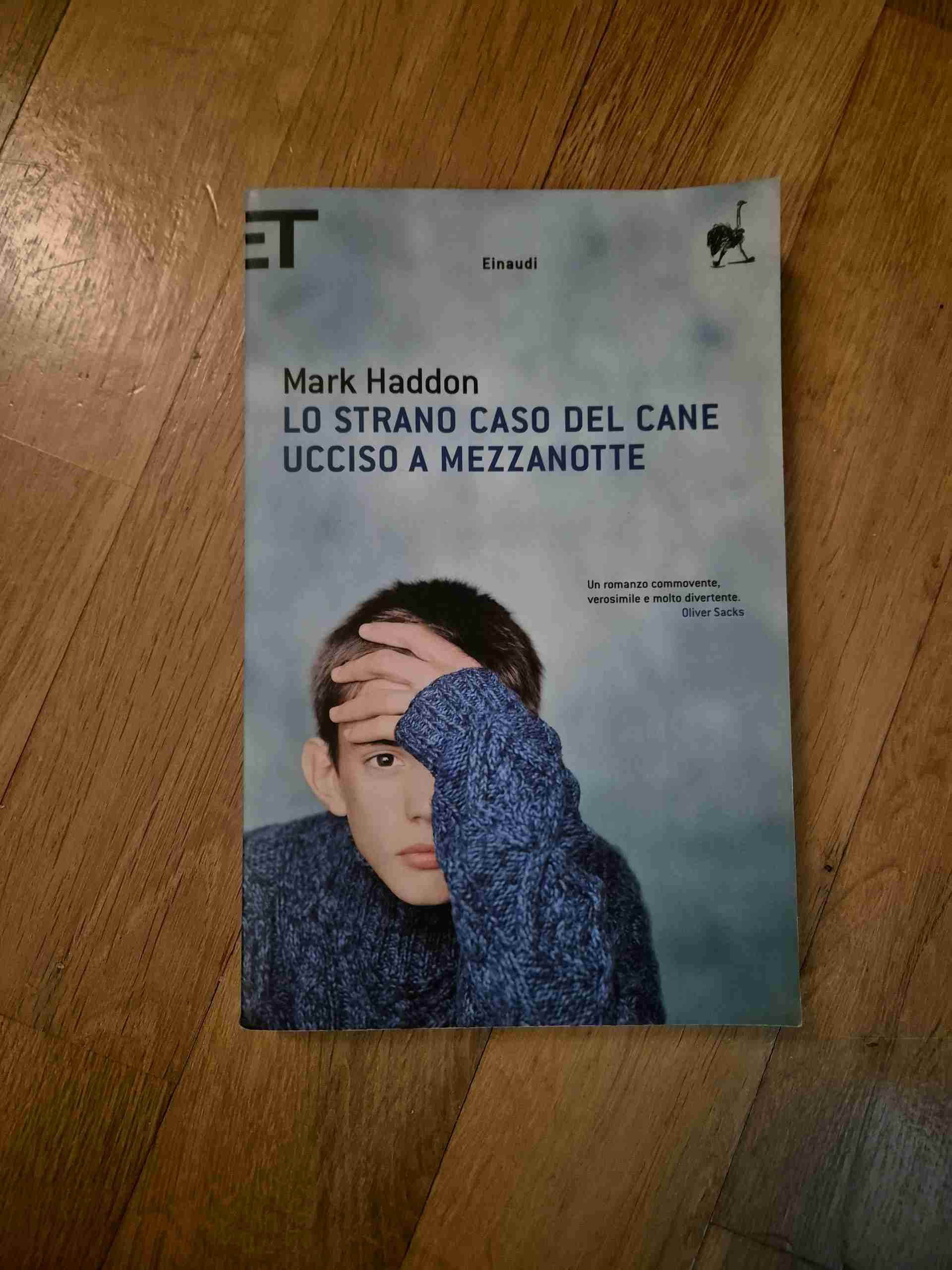 Il curioso caso del cane ucciso a mezzanotte  libro usato