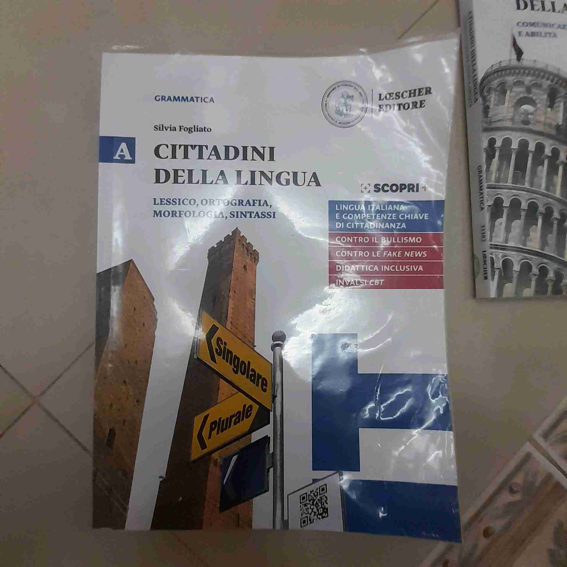 Cittadini della lingua  libro usato