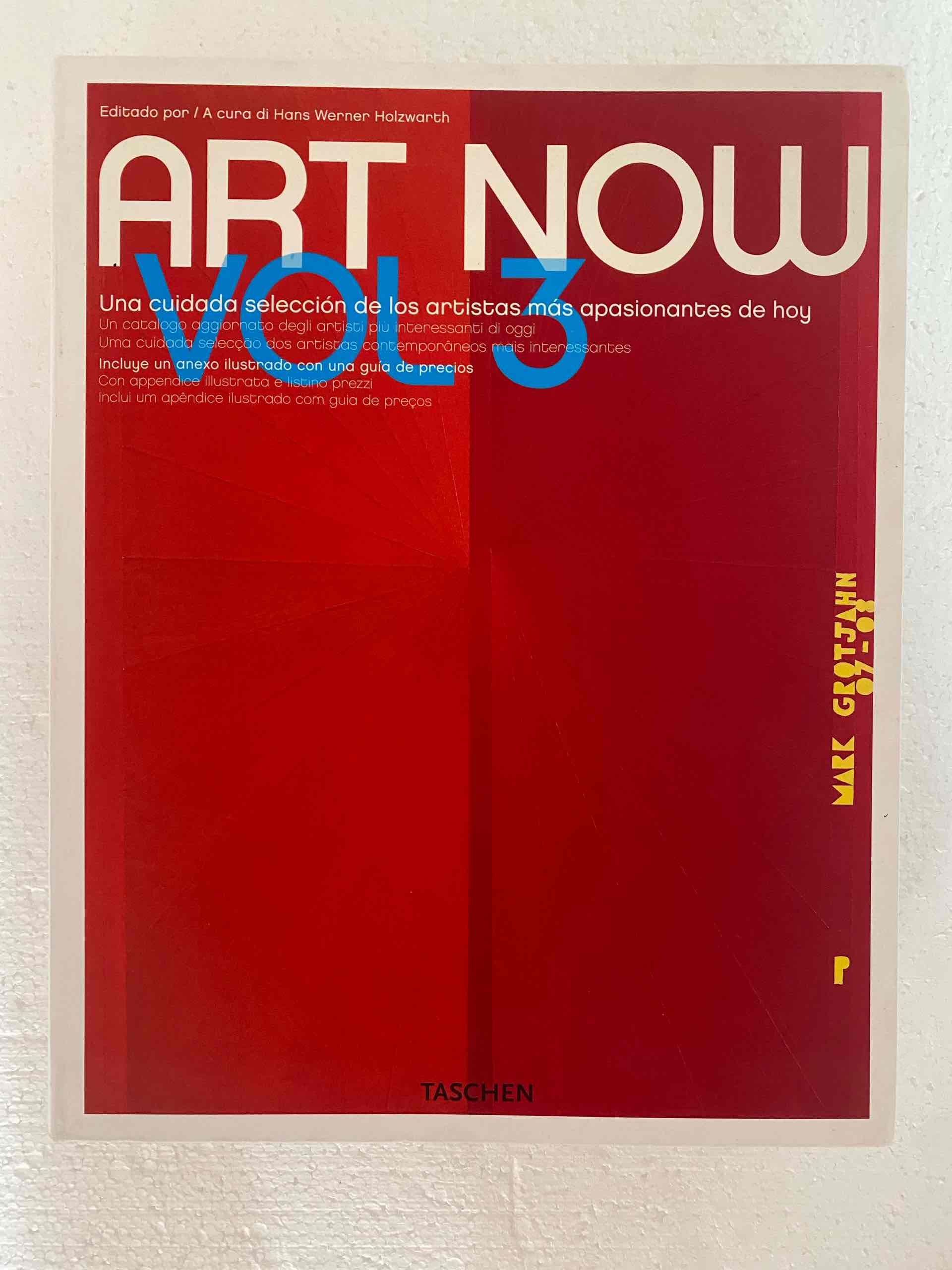 Art now 3. Ediz. multilingue libro usato