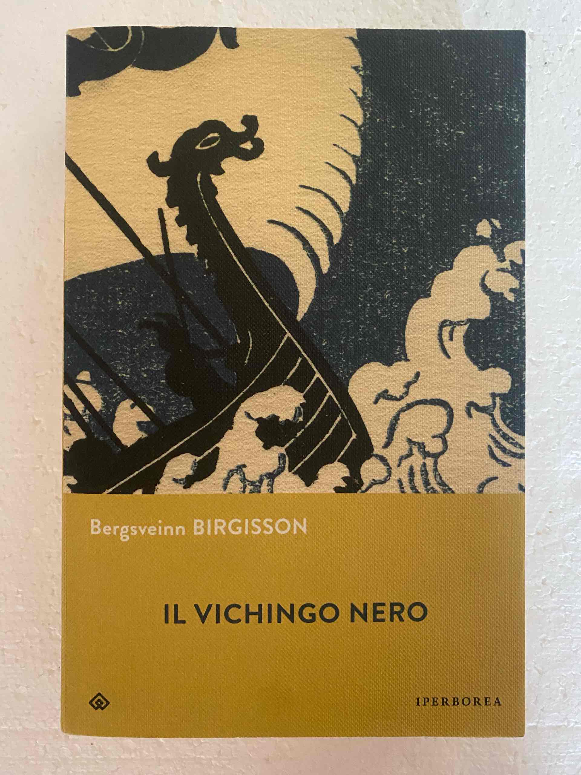 Il vichingo nero libro usato