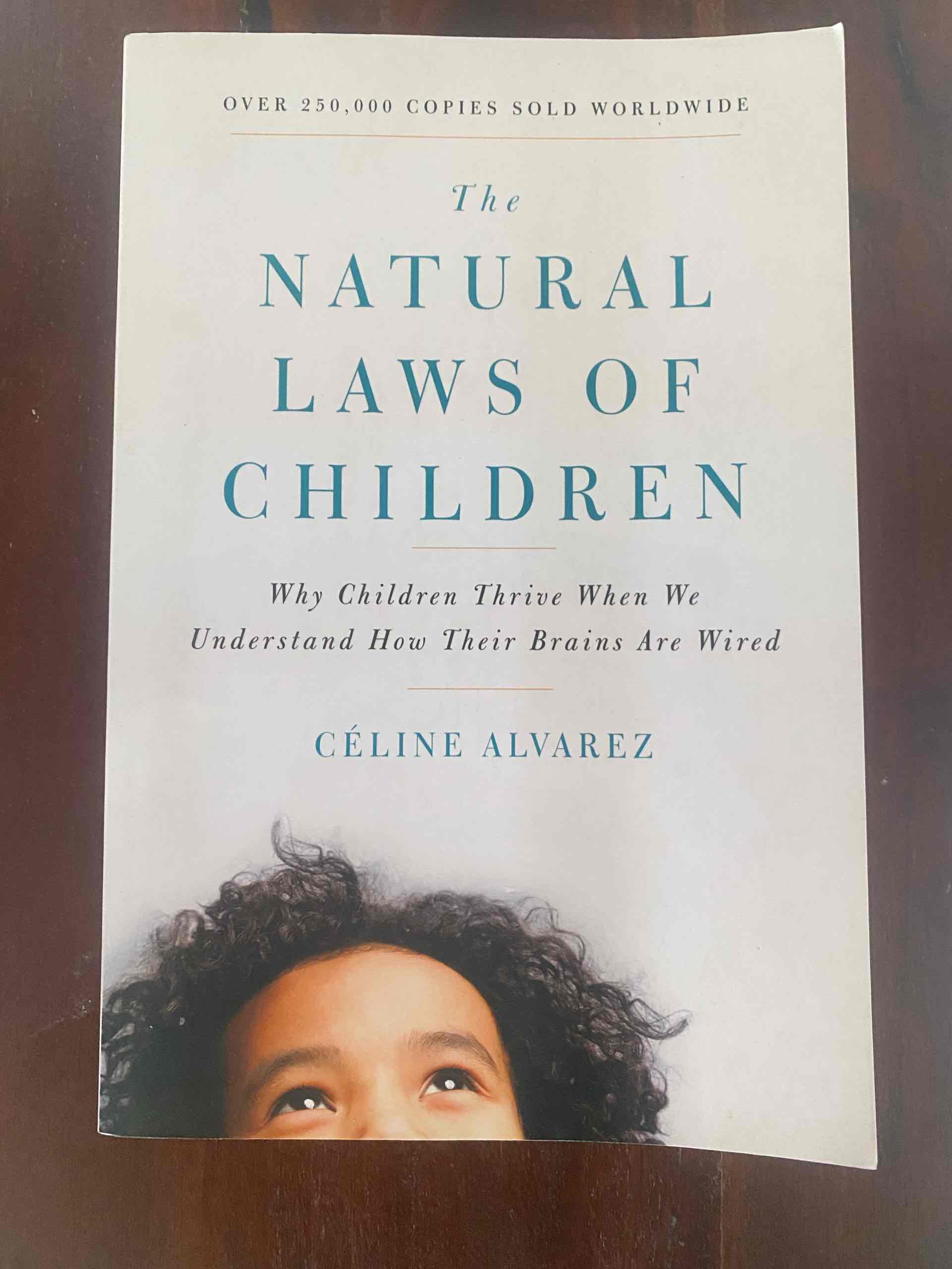 Natural Laws of Children libro usato