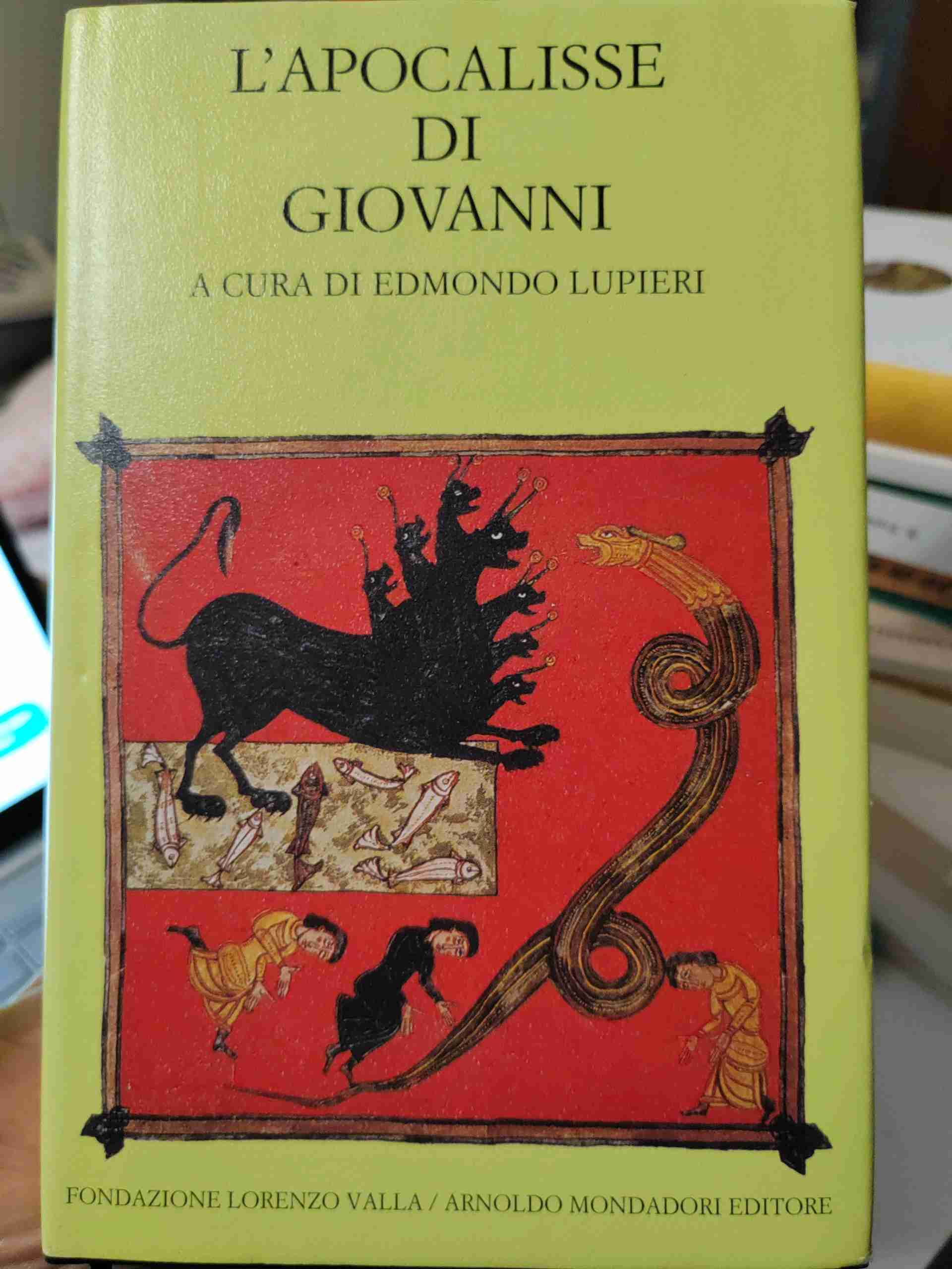 L'Apocalisse di Giovanni libro usato