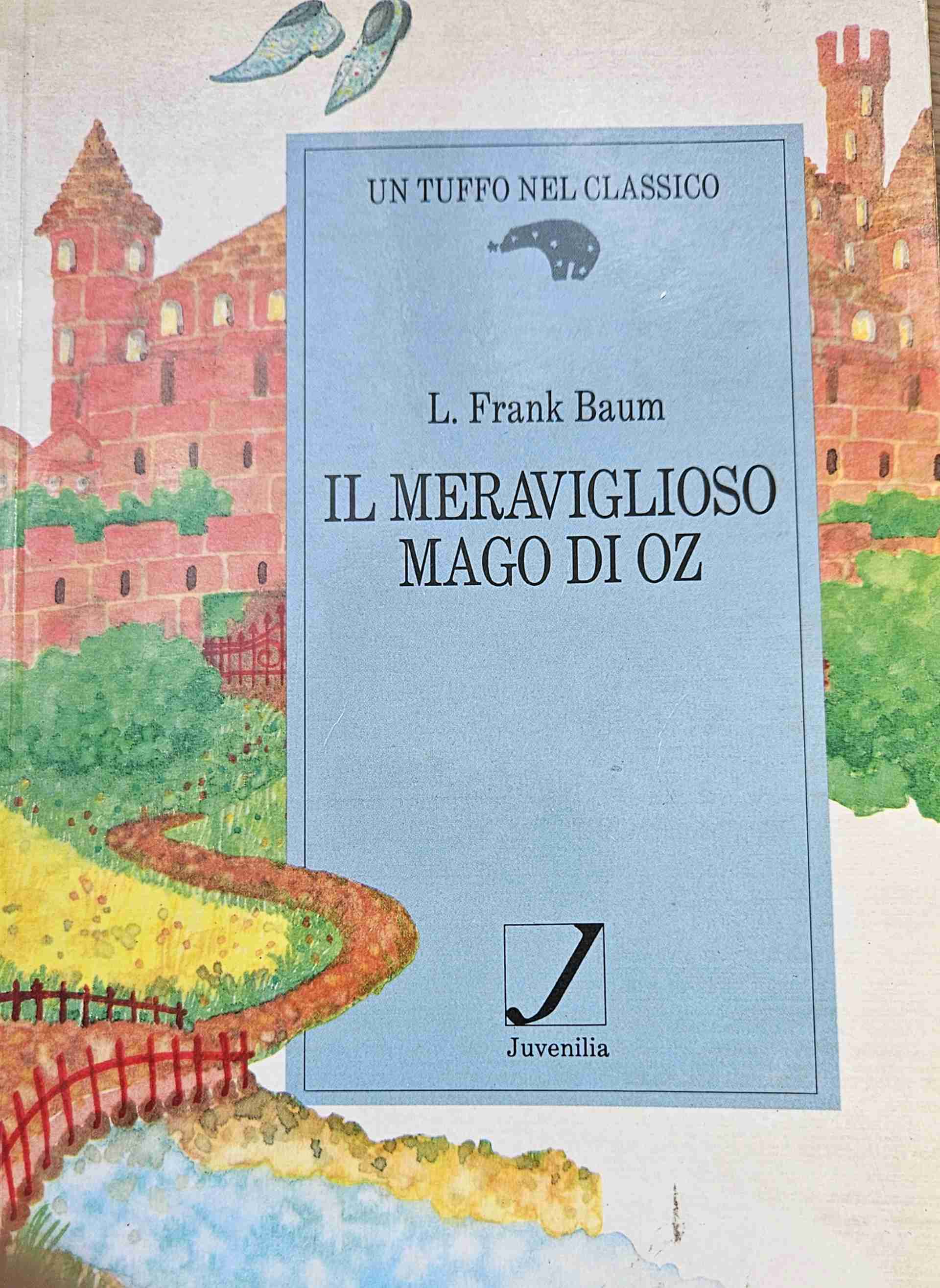 Il meraviglioso mago di Oz libro usato