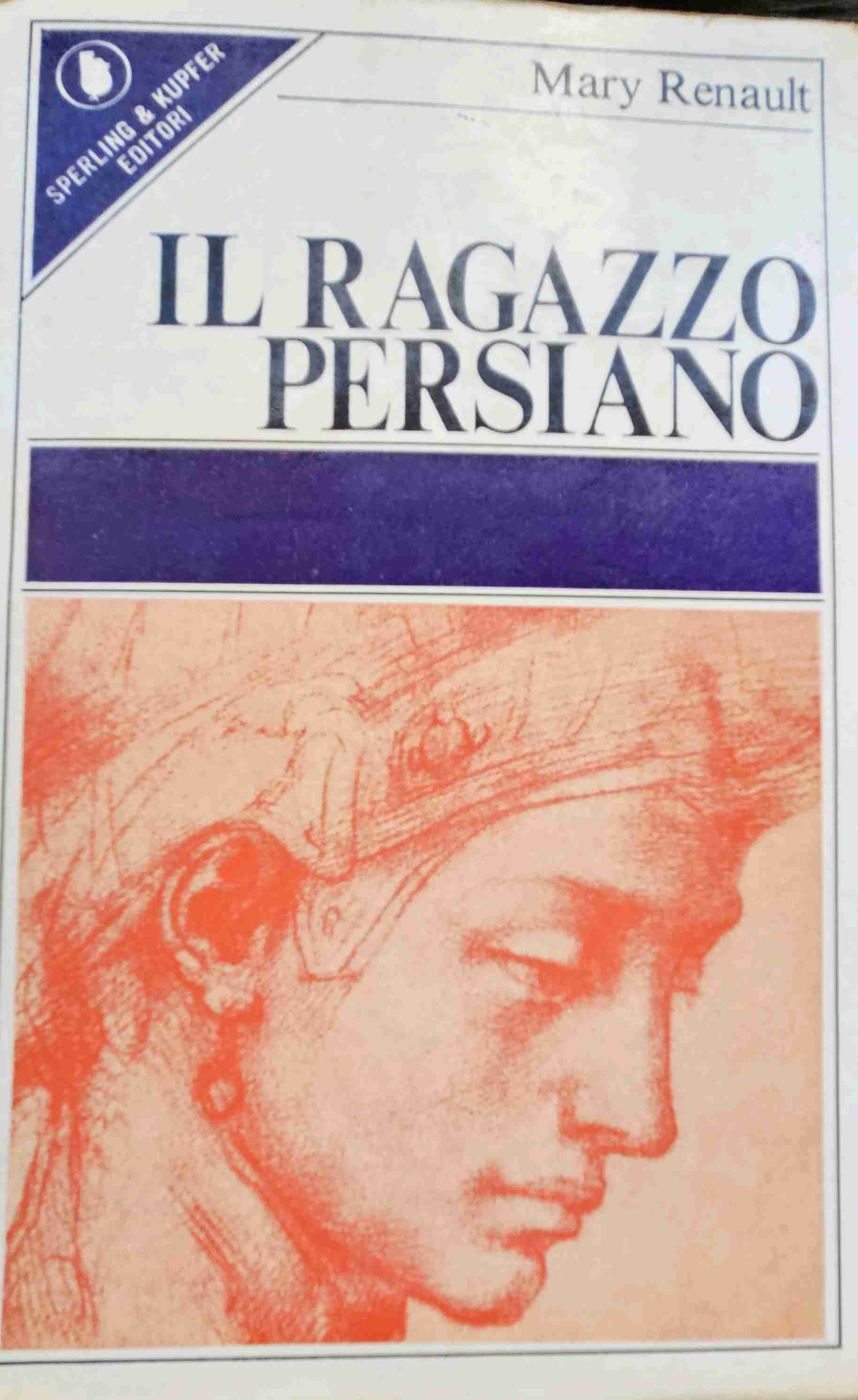 Il ragazzo Persiano  libro usato