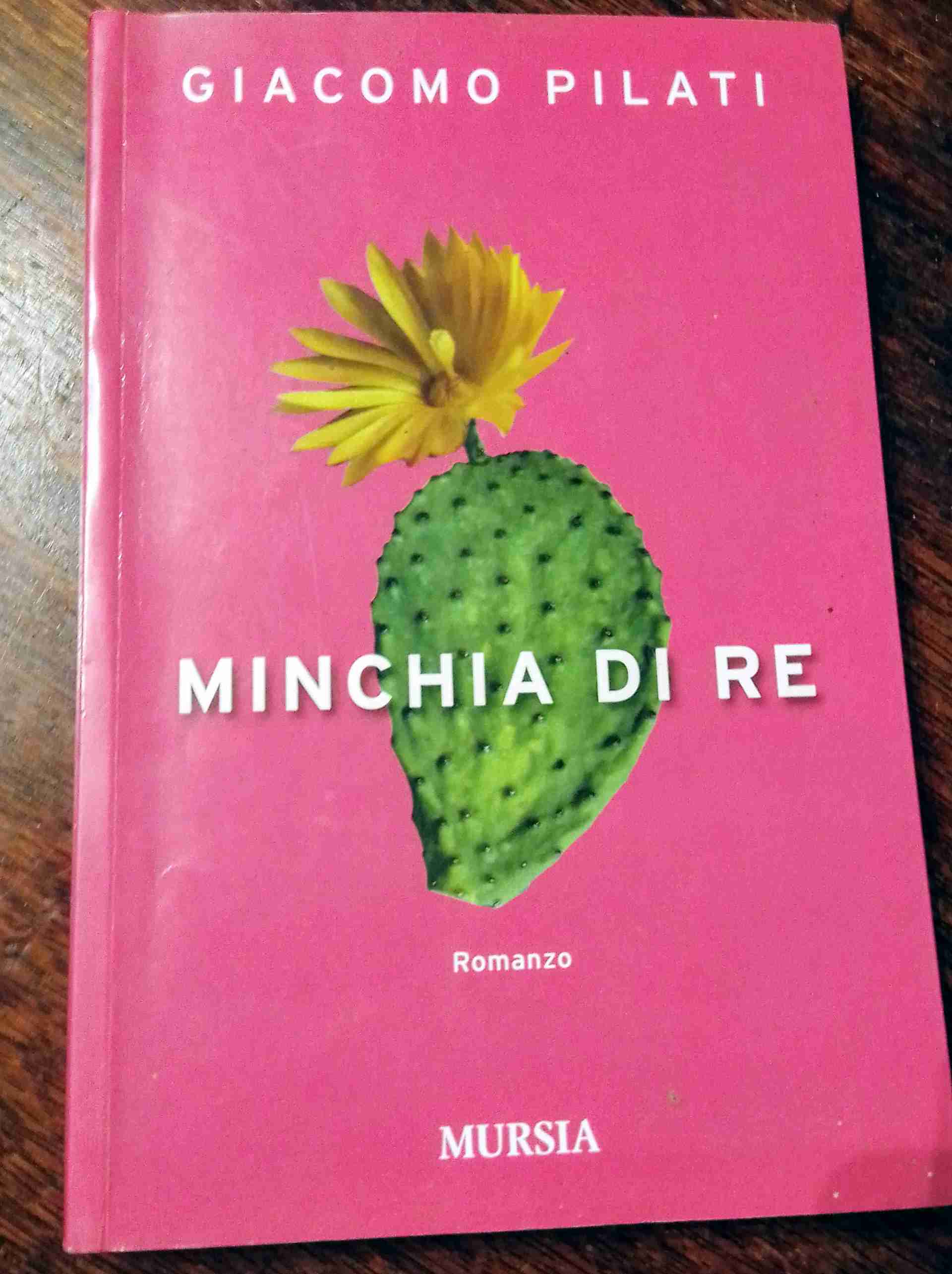 MINCHIA DI RE libro usato