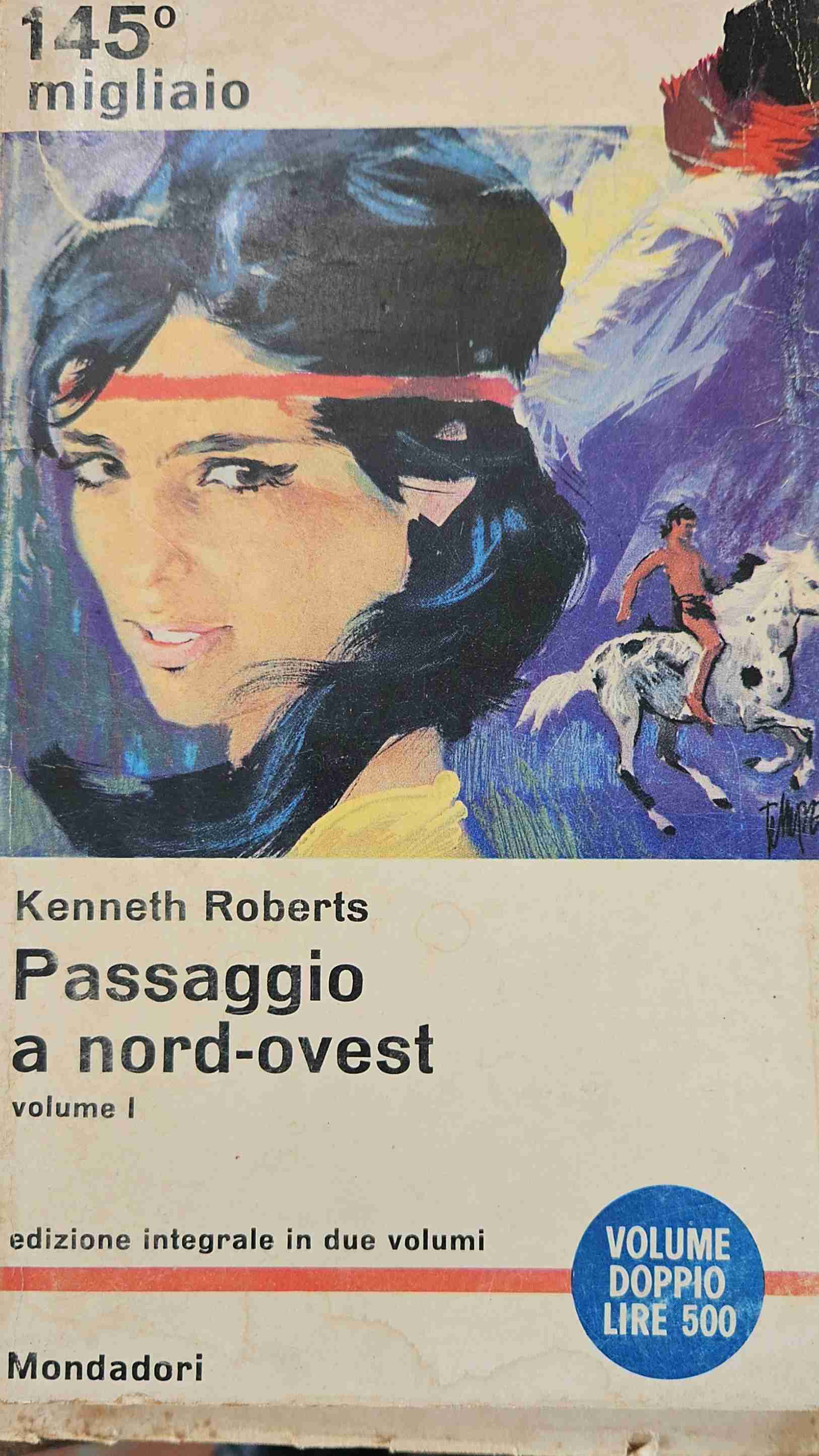 Passaggio a nord-ovest libro usato