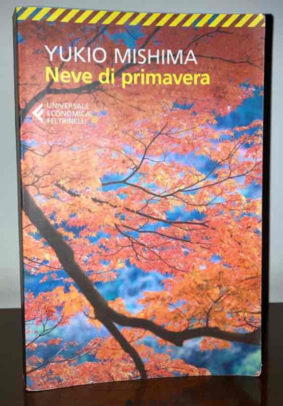 Neve di Primavera  libro usato