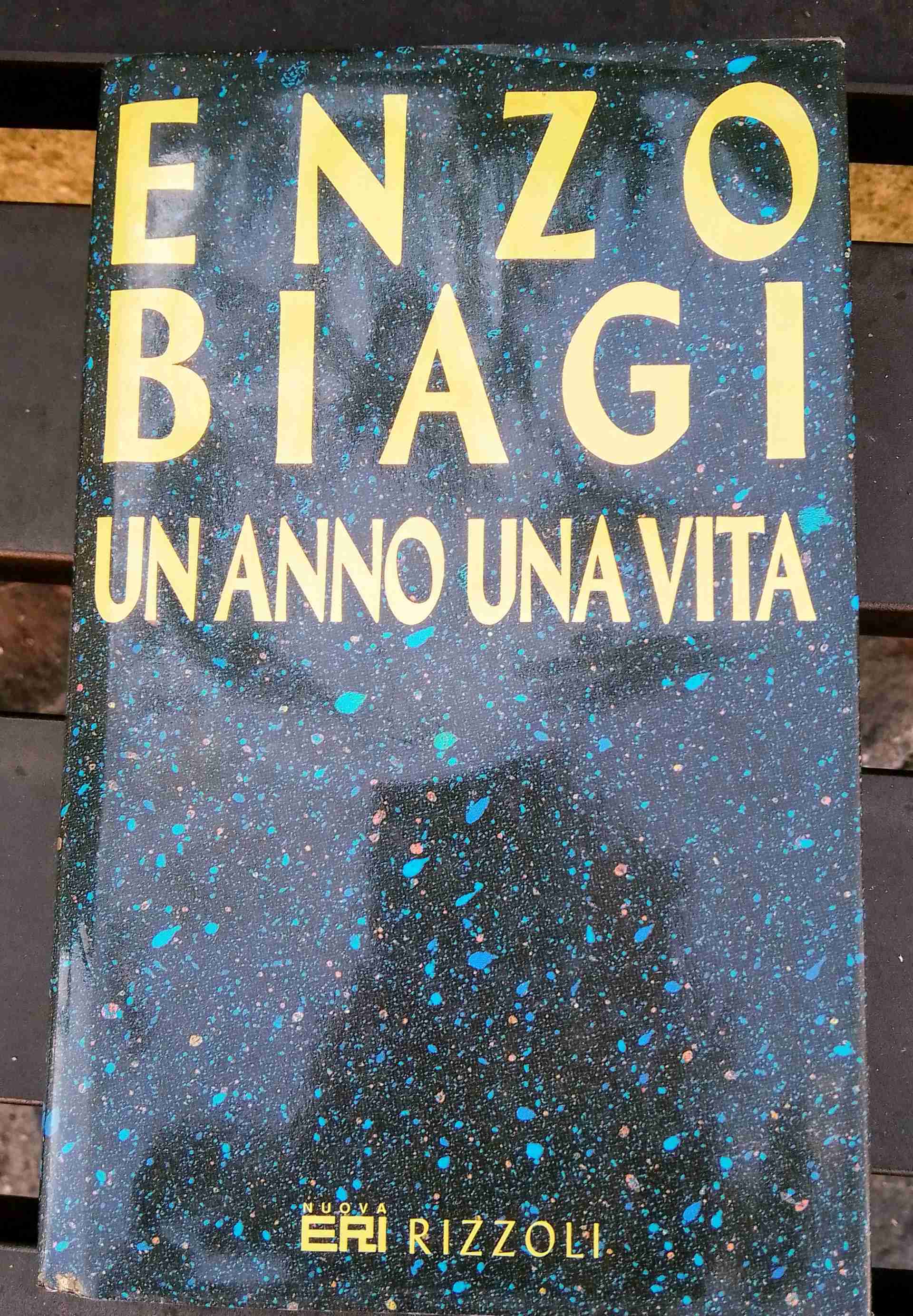 UN ANNO UNA VITA libro usato