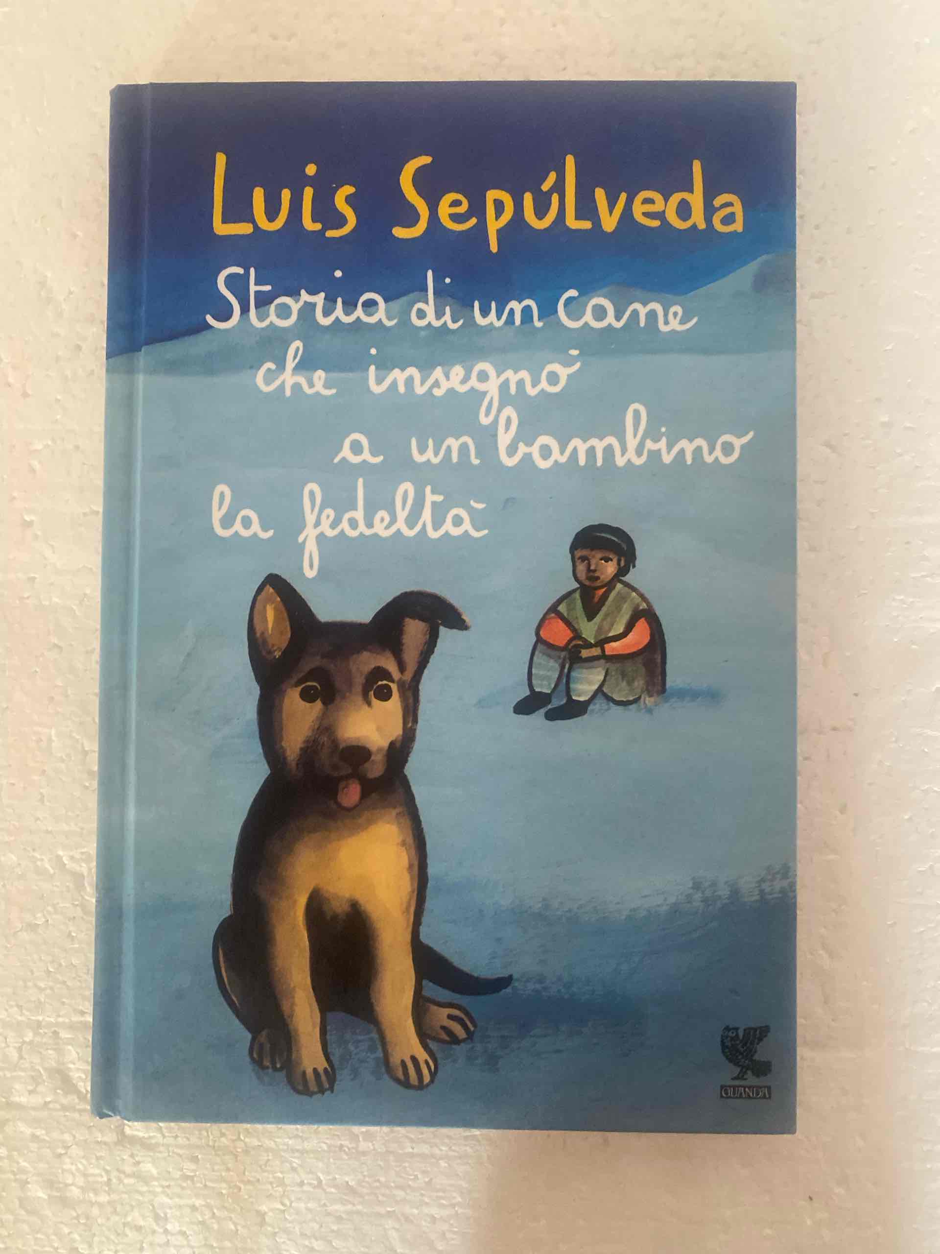 Storia di un cane che insegnò a un bambino la fedeltà libro usato