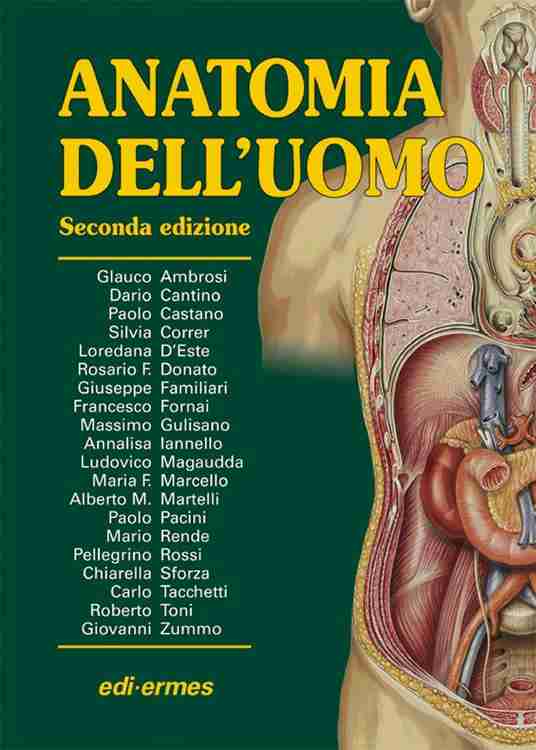 Anatomia dell'uomo  libro usato