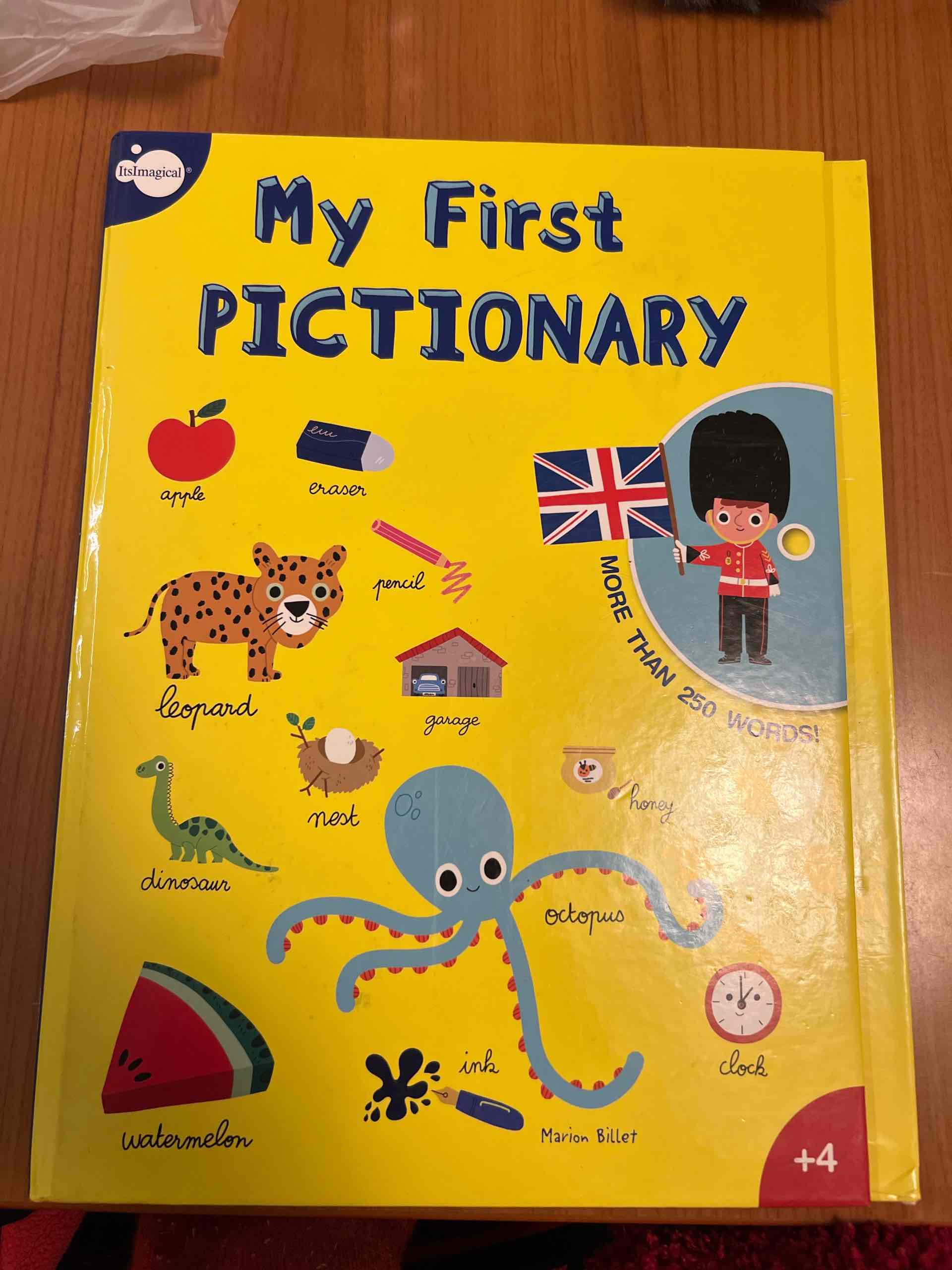 My First Pictionary libro usato