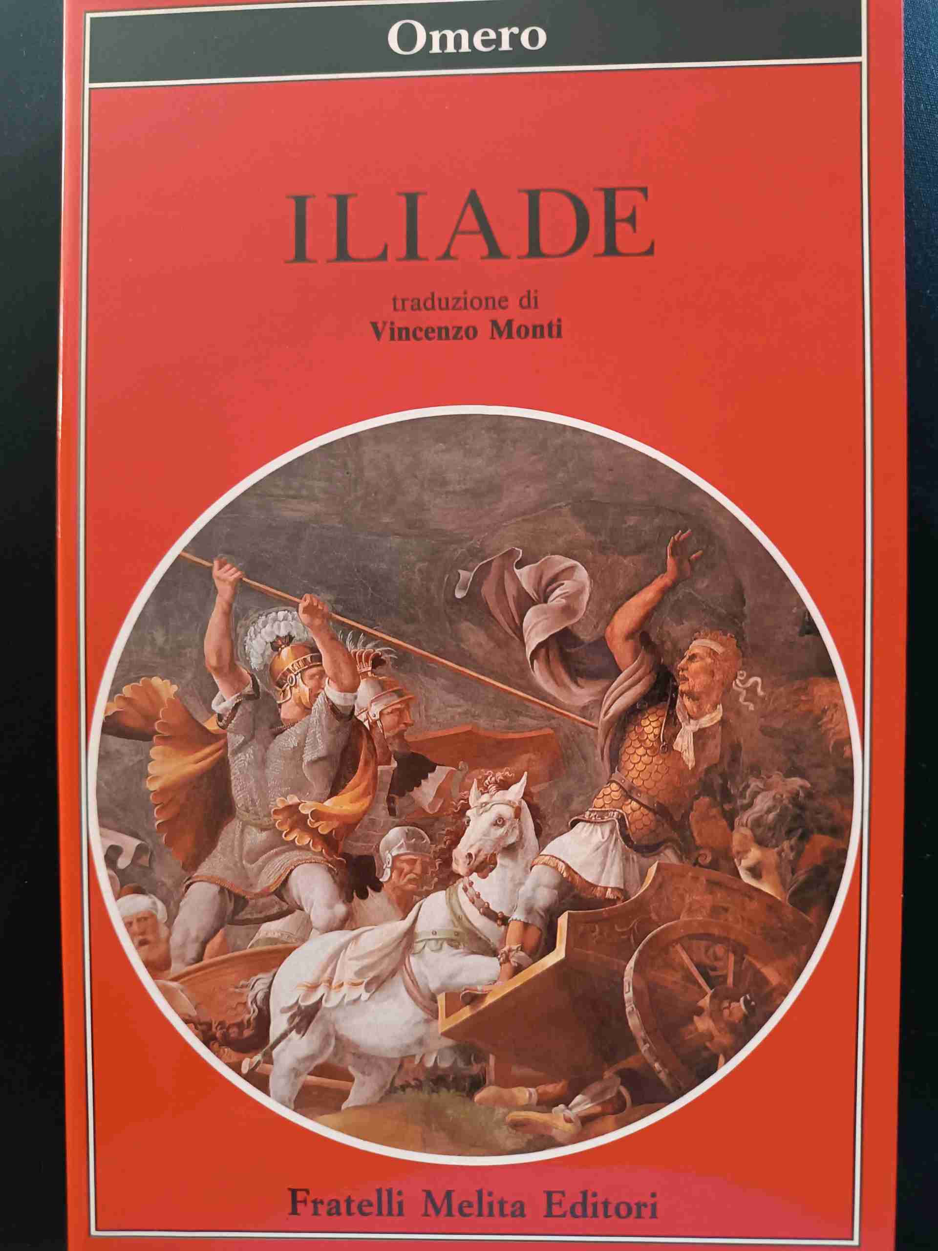 Iliade libro usato