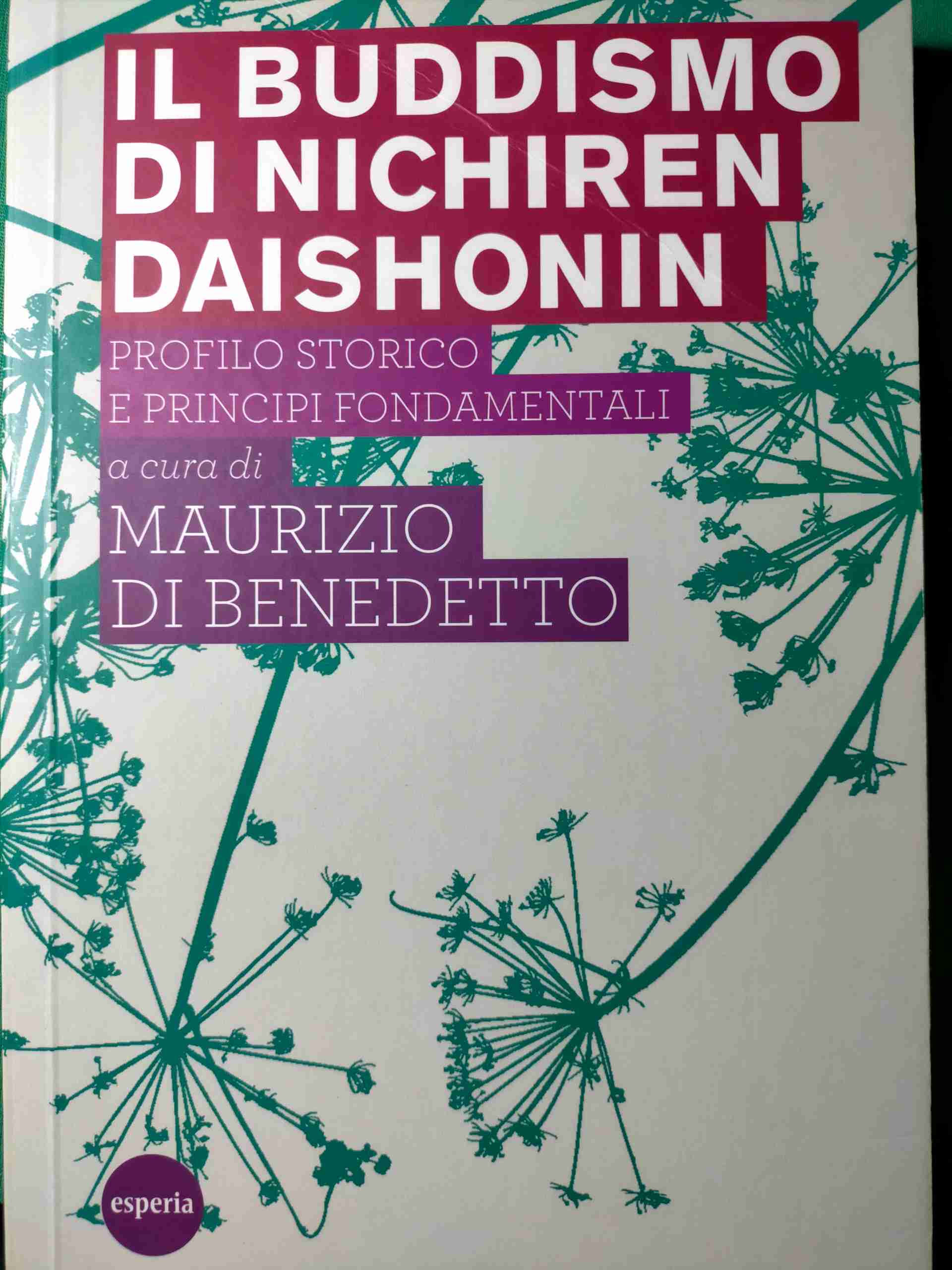 Il buddismo di Nichiren Daishonin libro usato