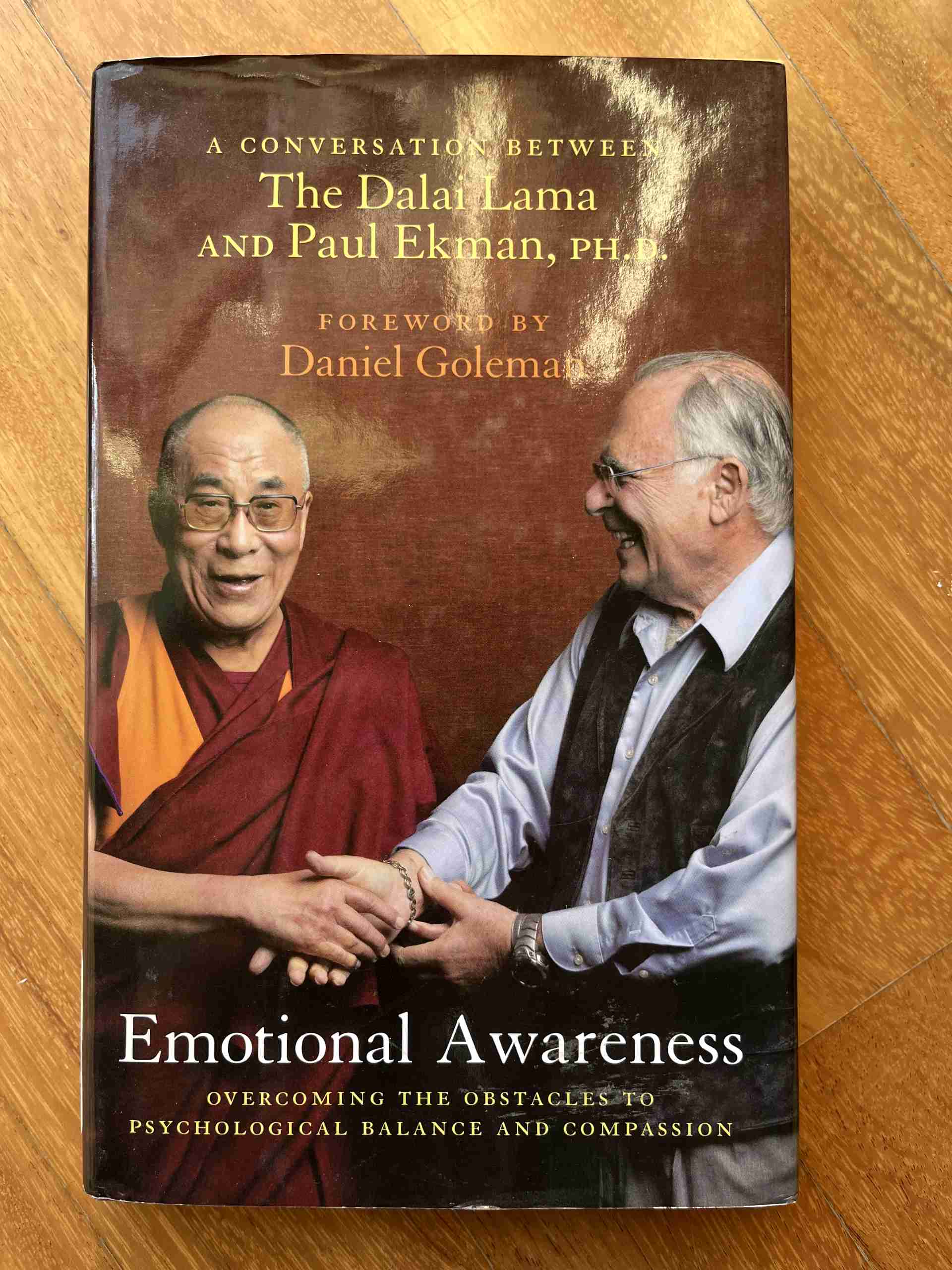 Emotional awareness libro usato