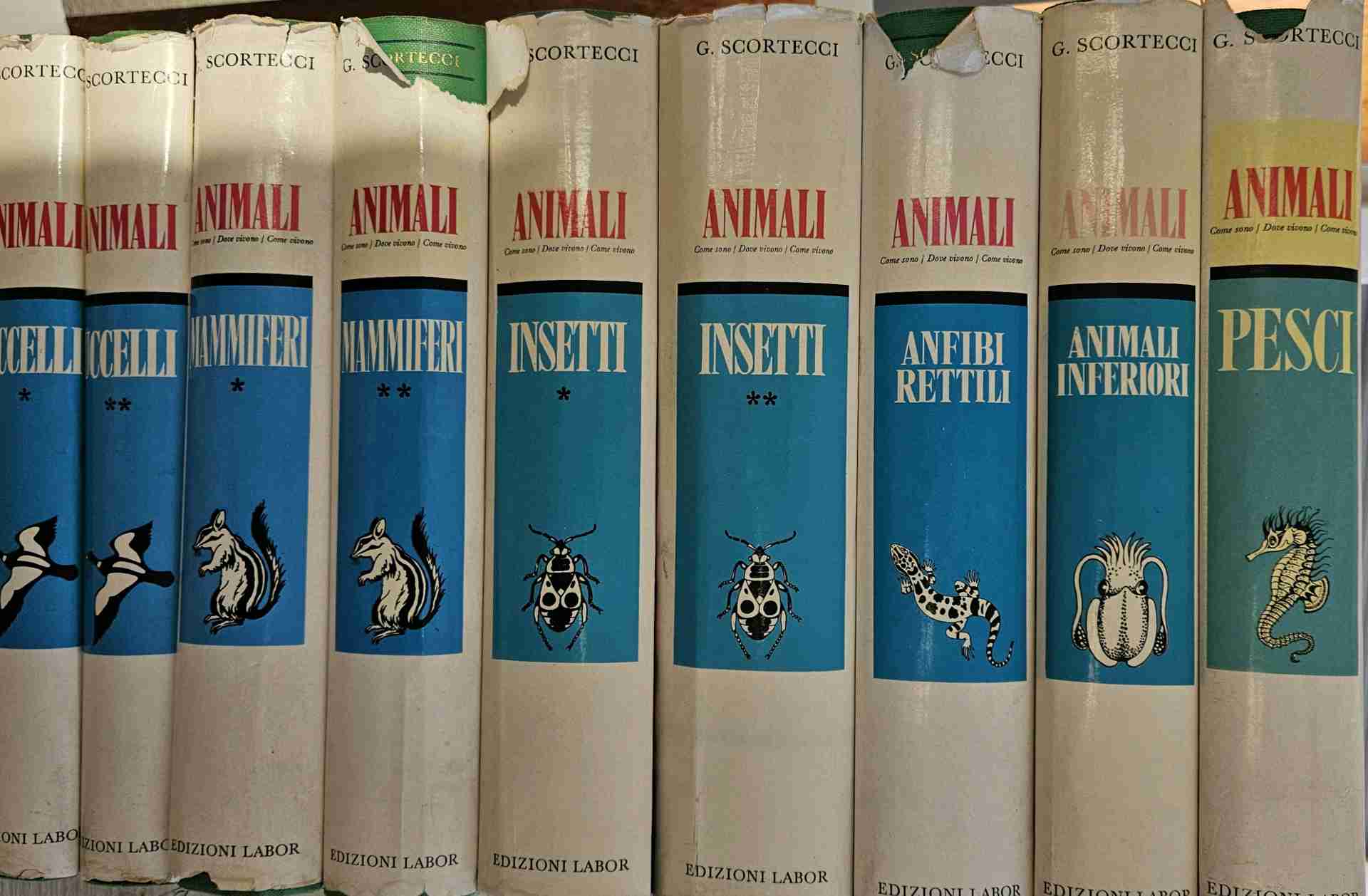 ANIMALI.Come sono/ Dove vivono / Come vivono. 9 volumi libro usato