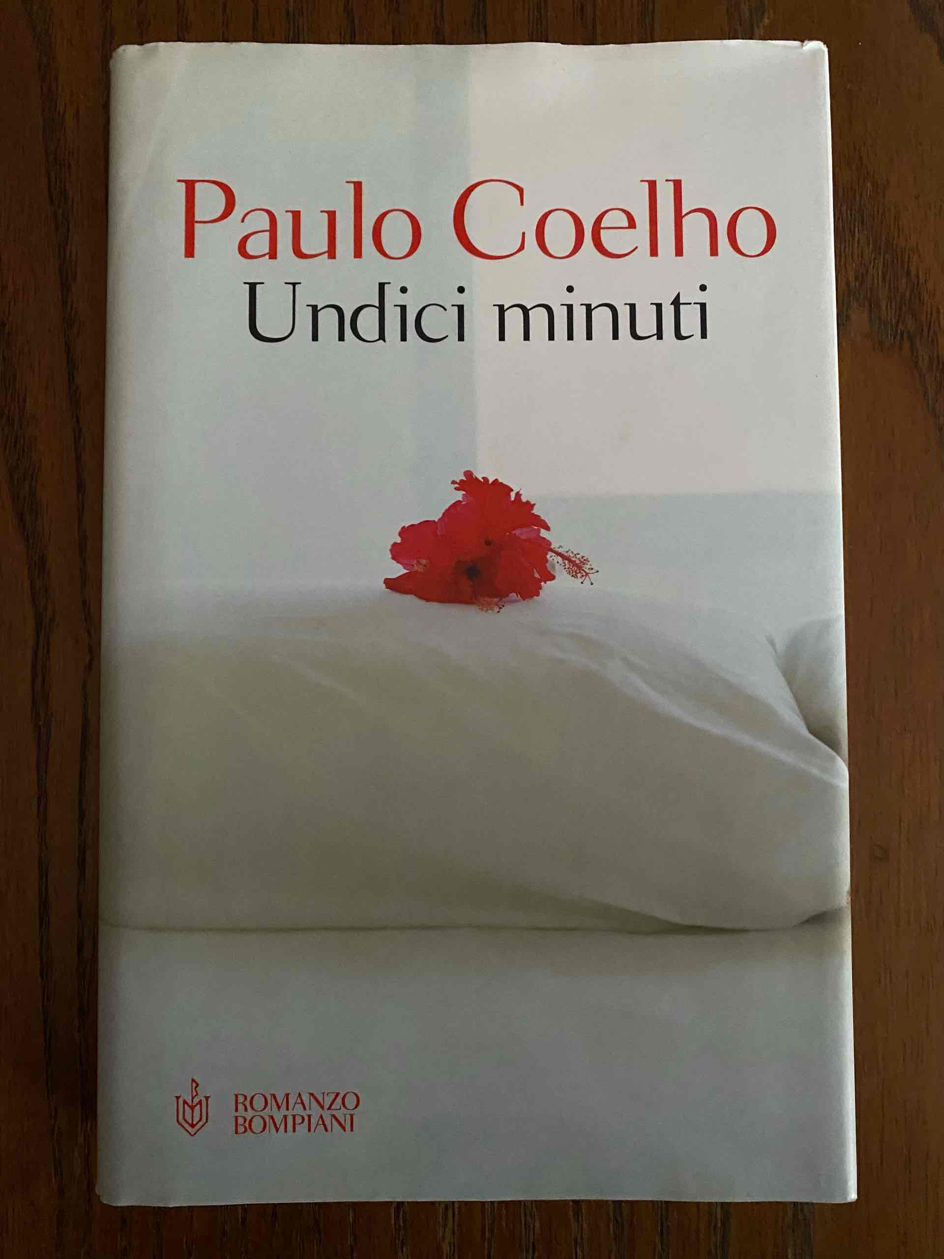 Undici minuti libro usato