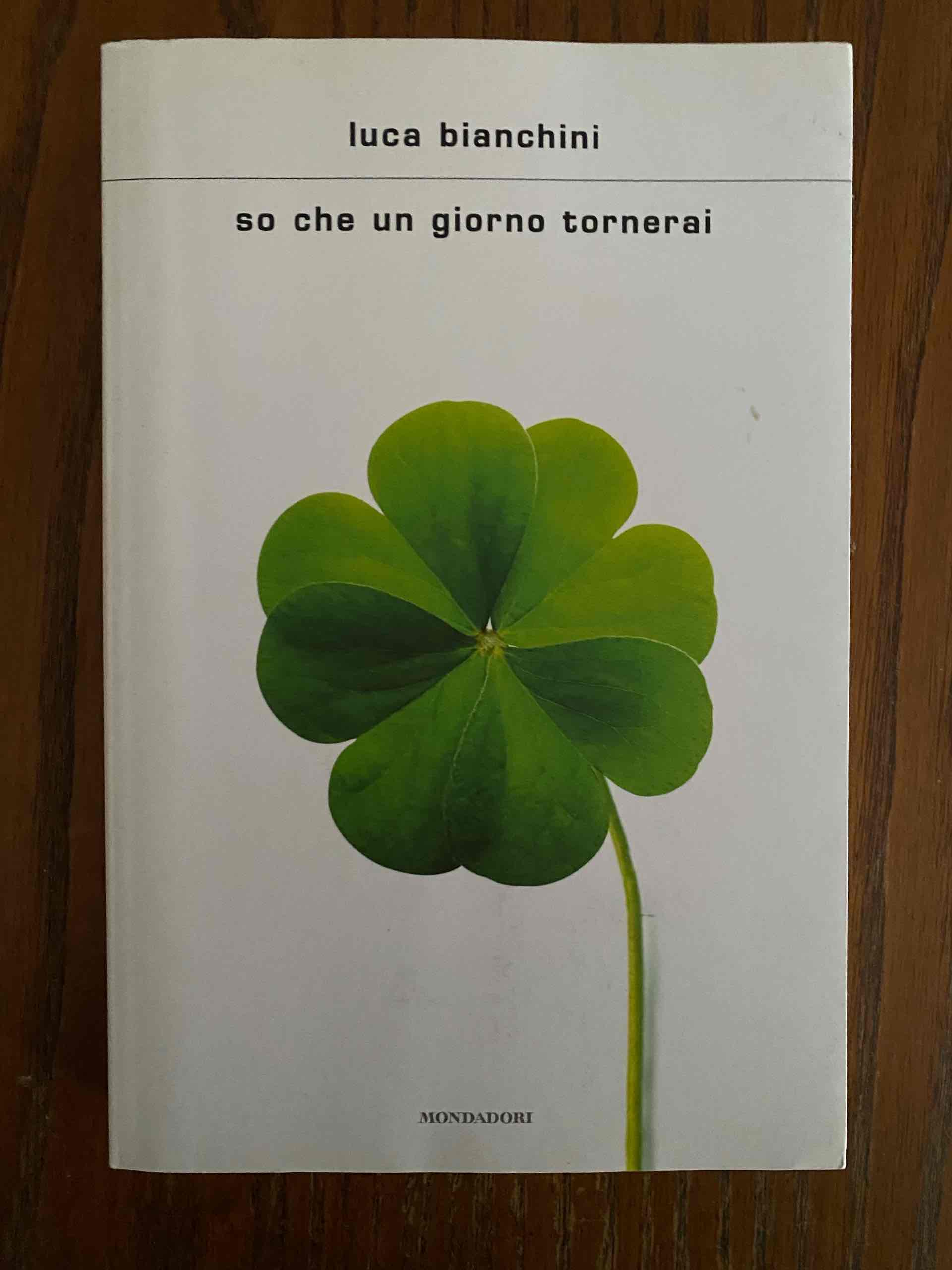 So che un giorno tornerai libro usato